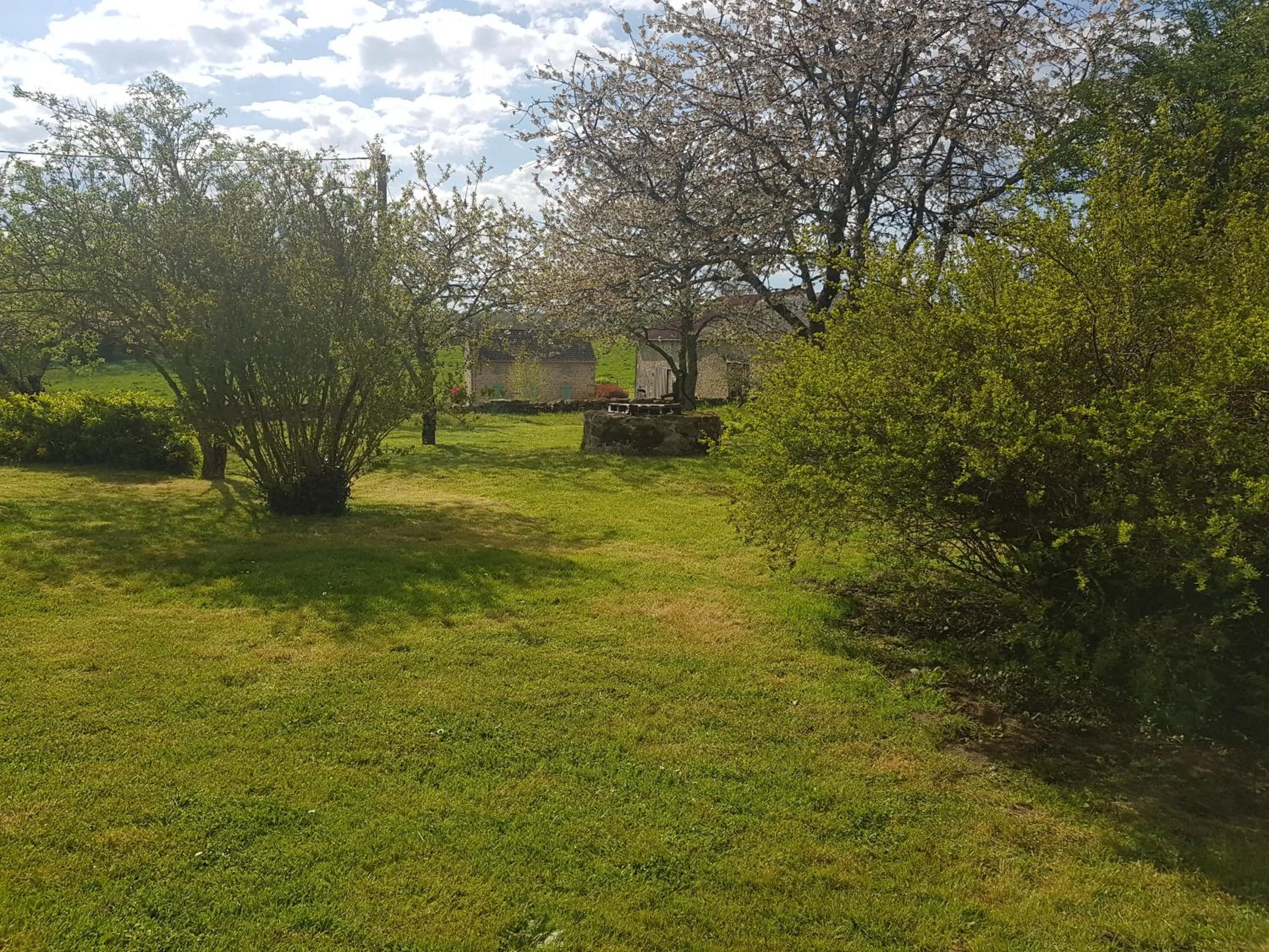 Garden in Les forges de Planechaud