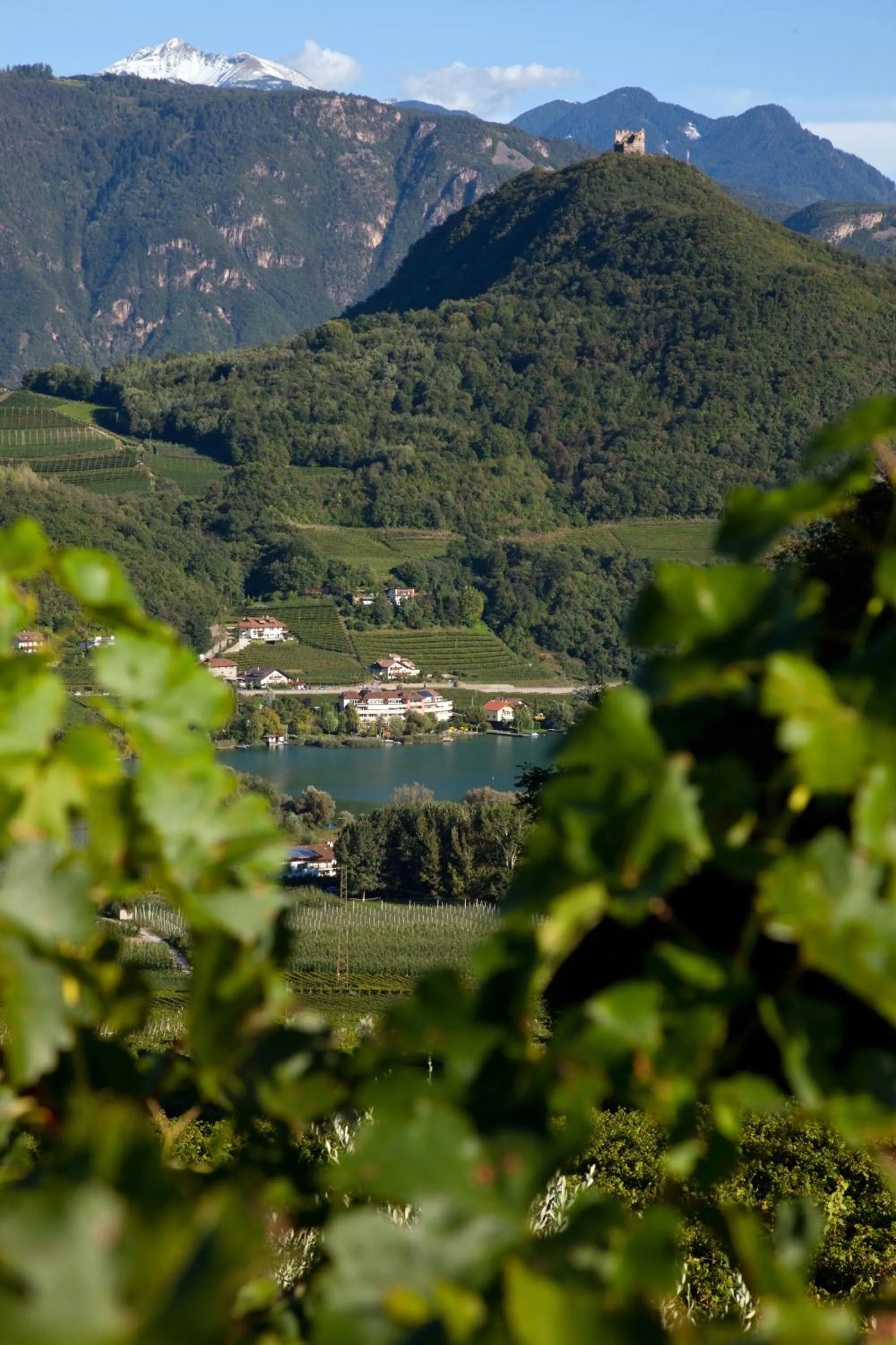 Area and facilities in Pension Hasslhof