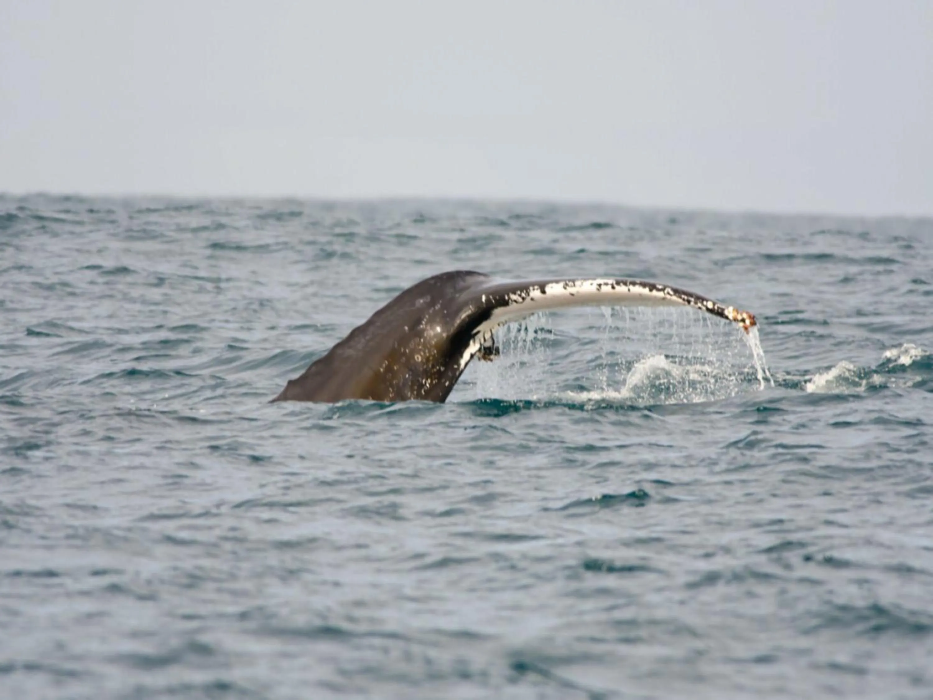 Beach in 22 Julia B&B
