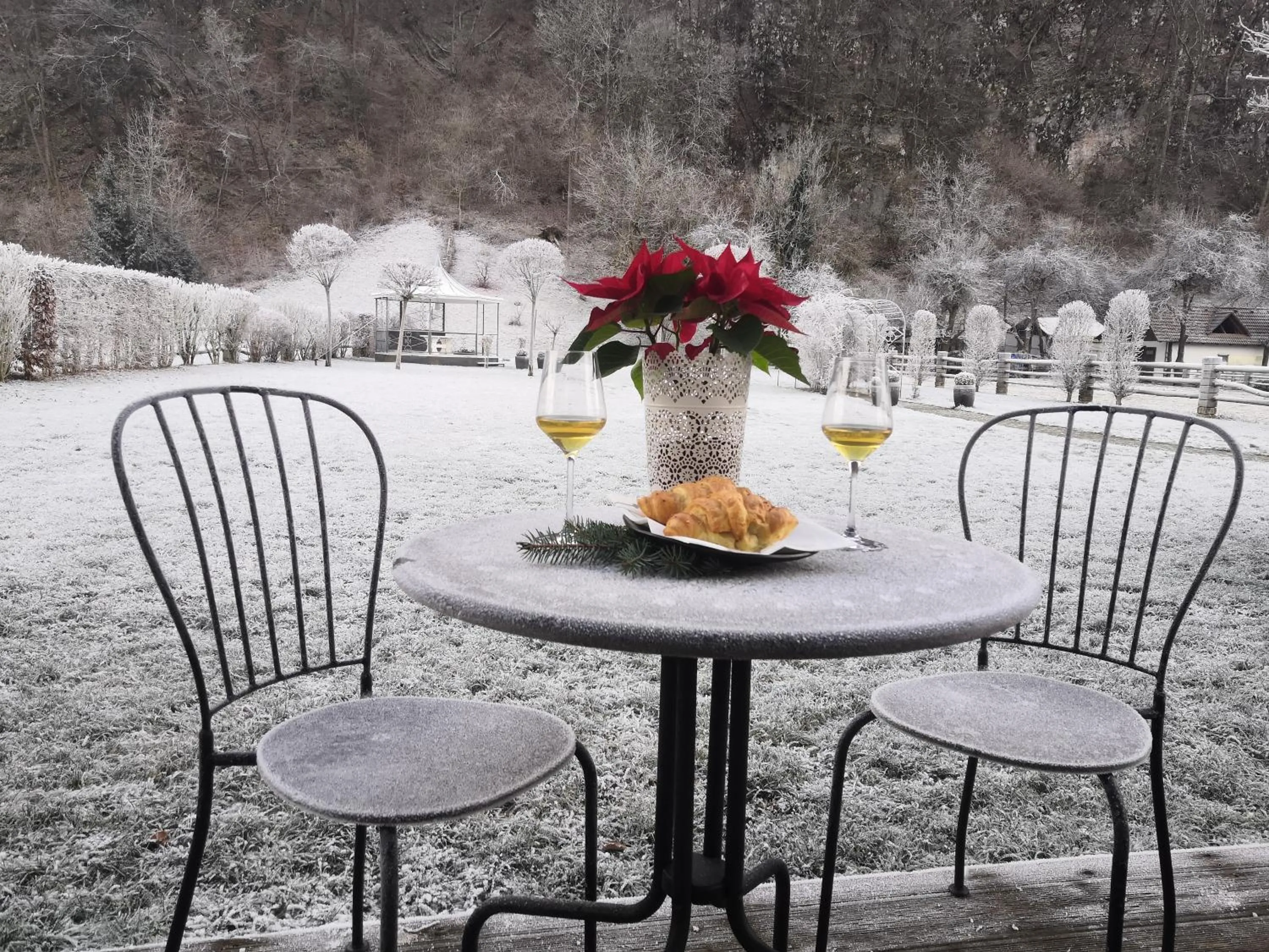 Patio in Penzion Repnik