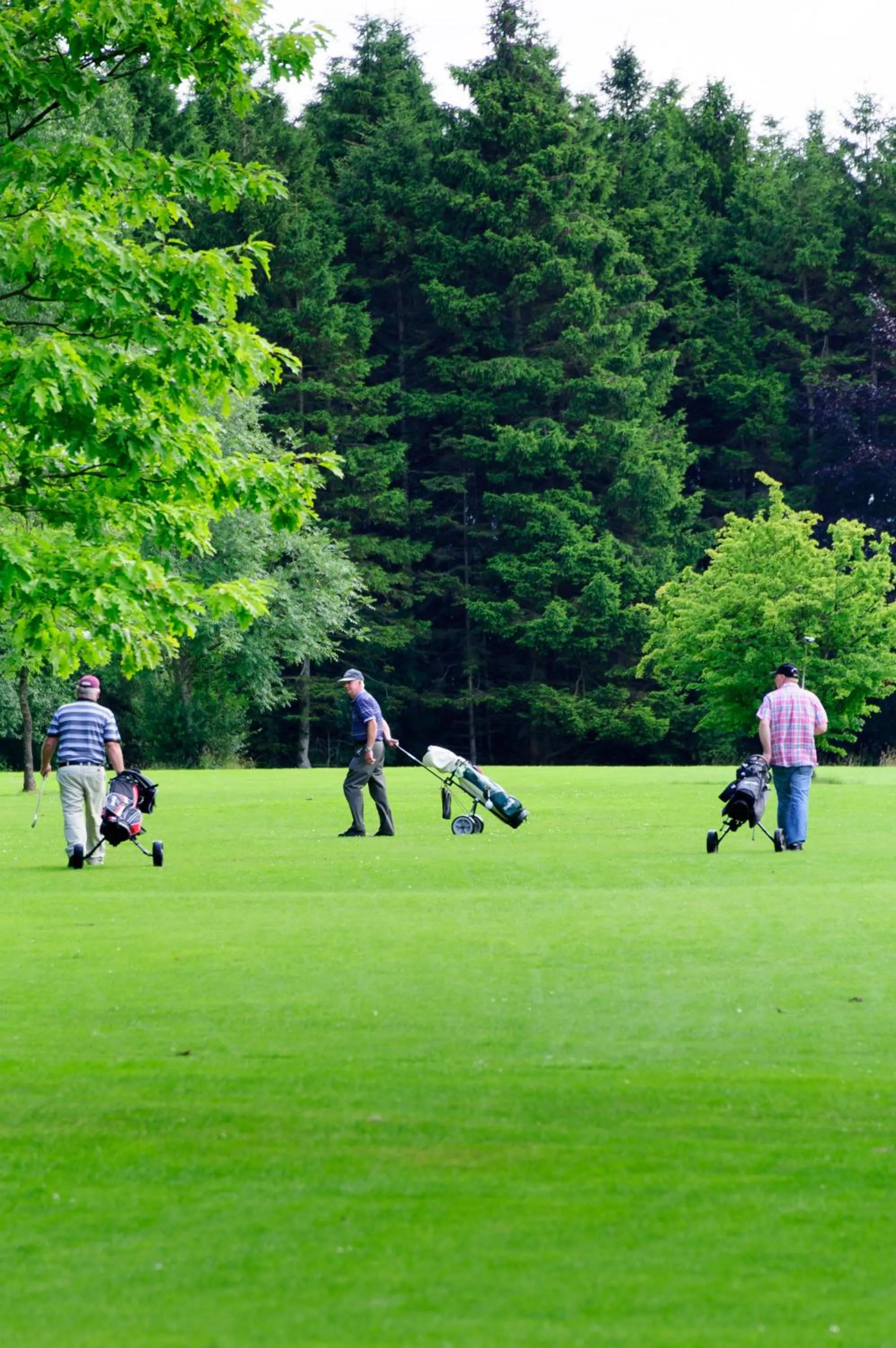 Golfcourse in Brown Trout Golf & Country Inn