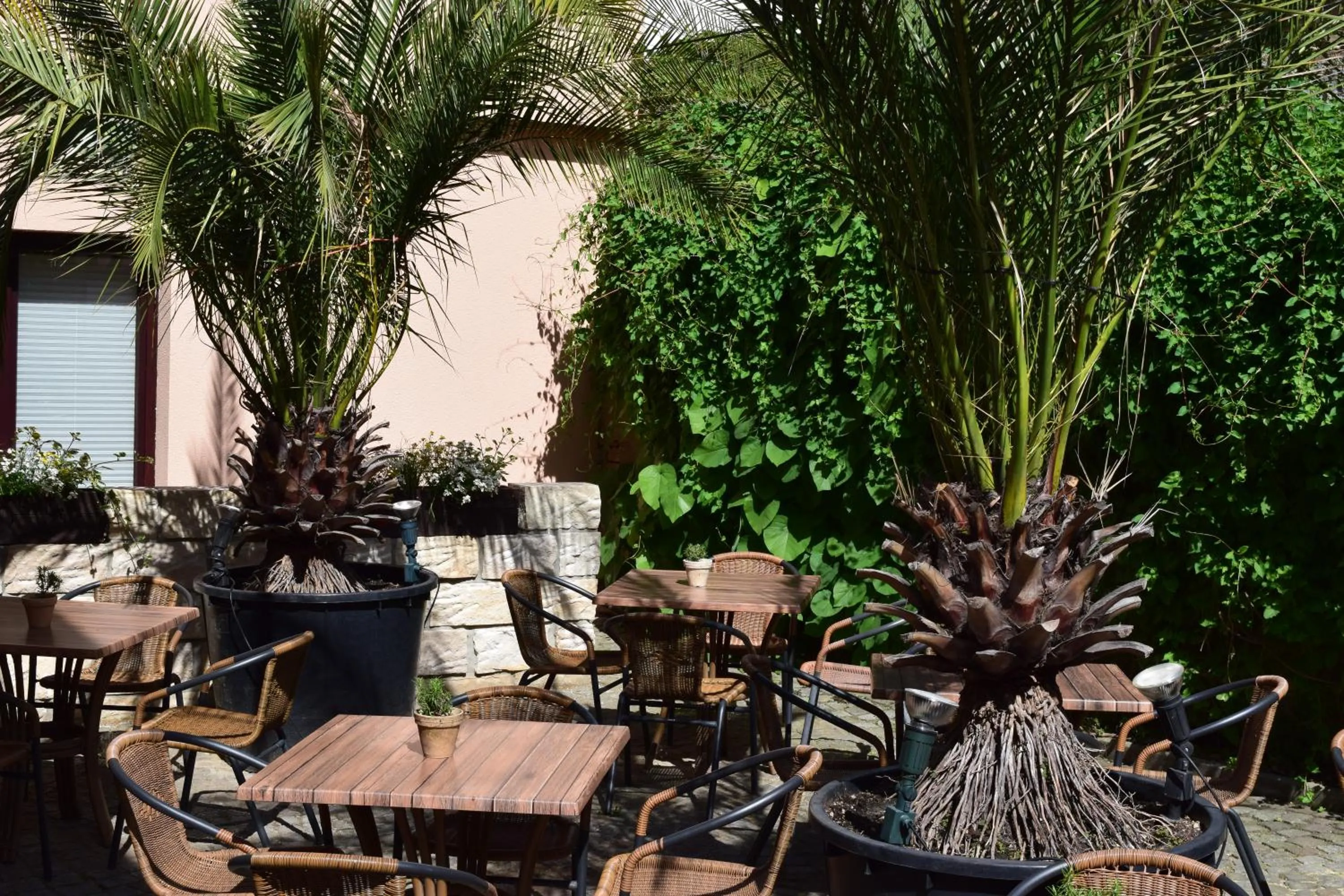 Patio in Hotel Arte Vida OHG