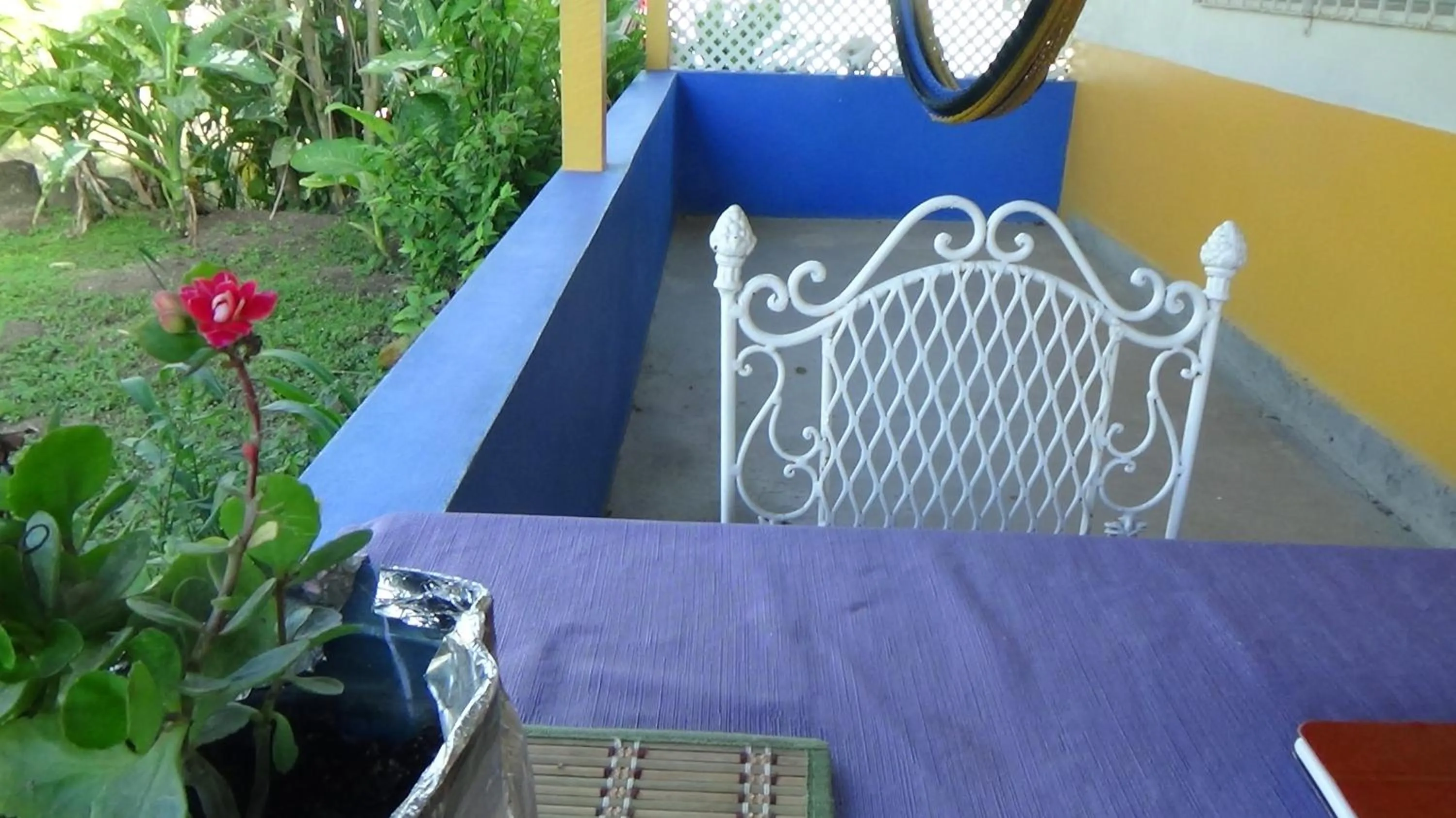 Balcony/Terrace in Hacienda Tropical Guest House