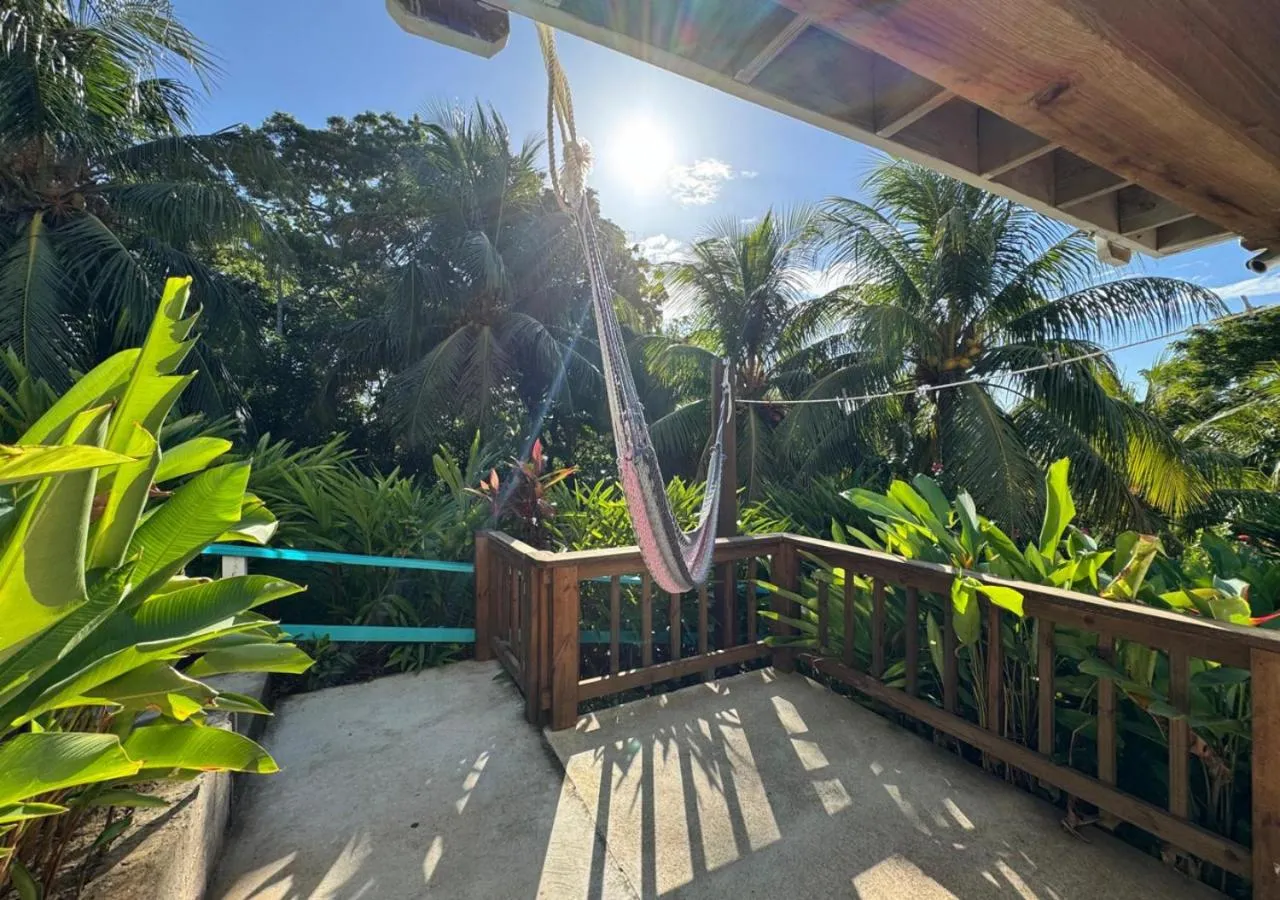Patio in Guava Grove Resort & Villas