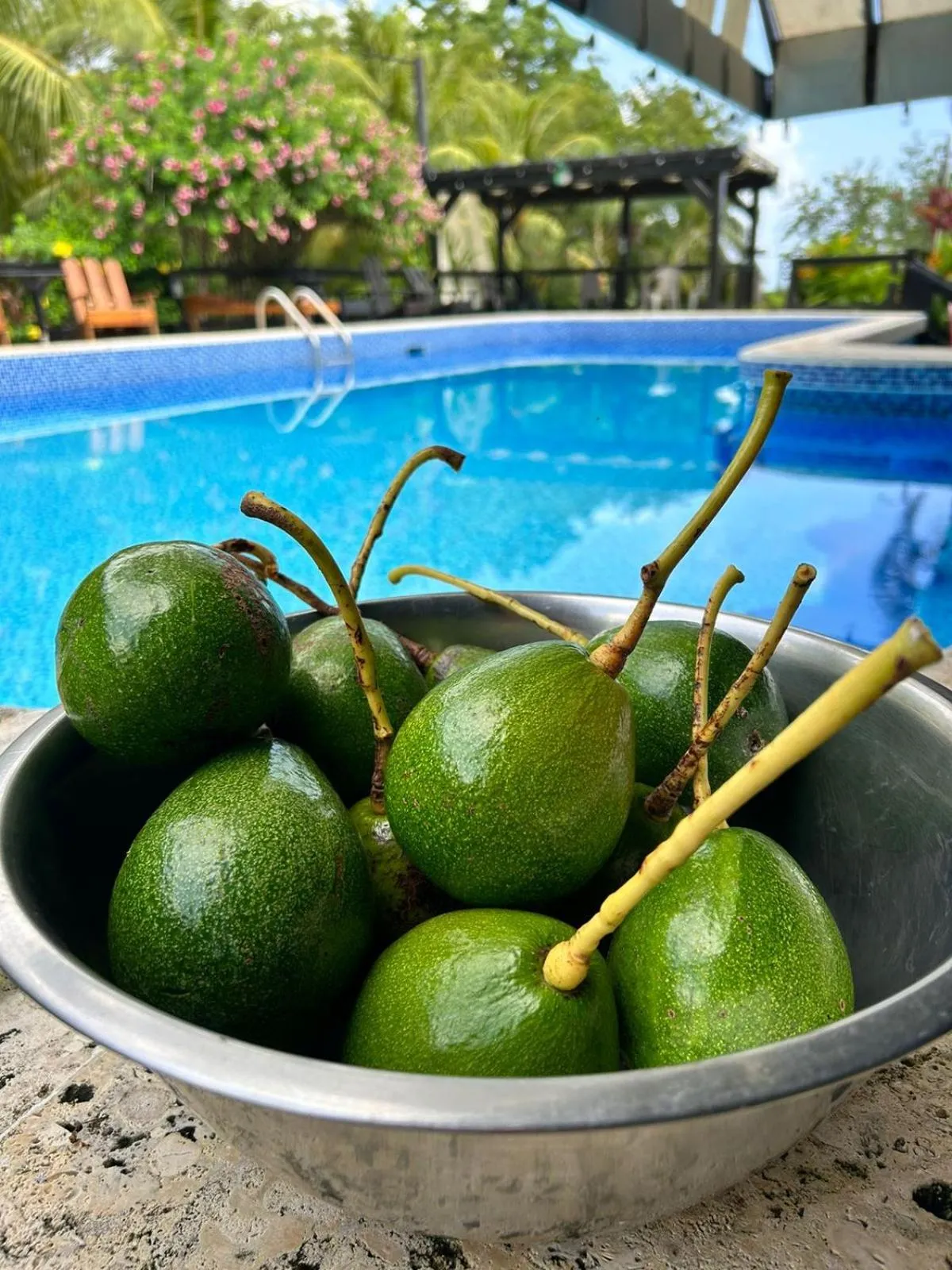 Garden in Guava Grove Resort & Villas