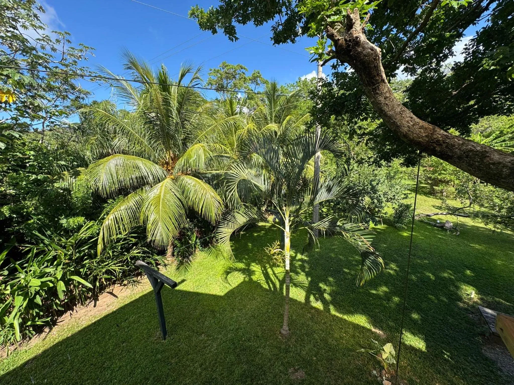 Garden in Guava Grove Resort & Villas