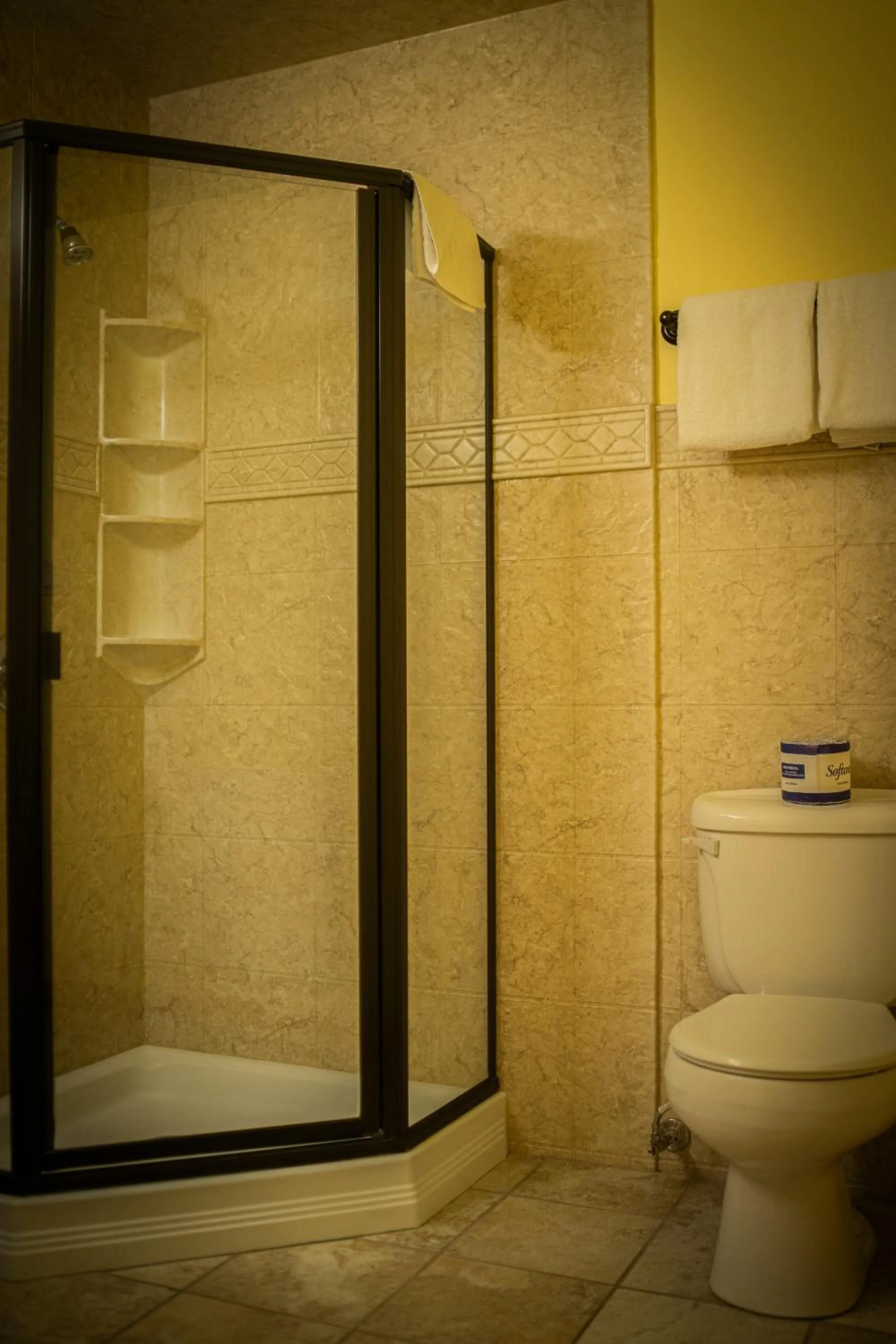 Shower in Yosemite Gateway Motel