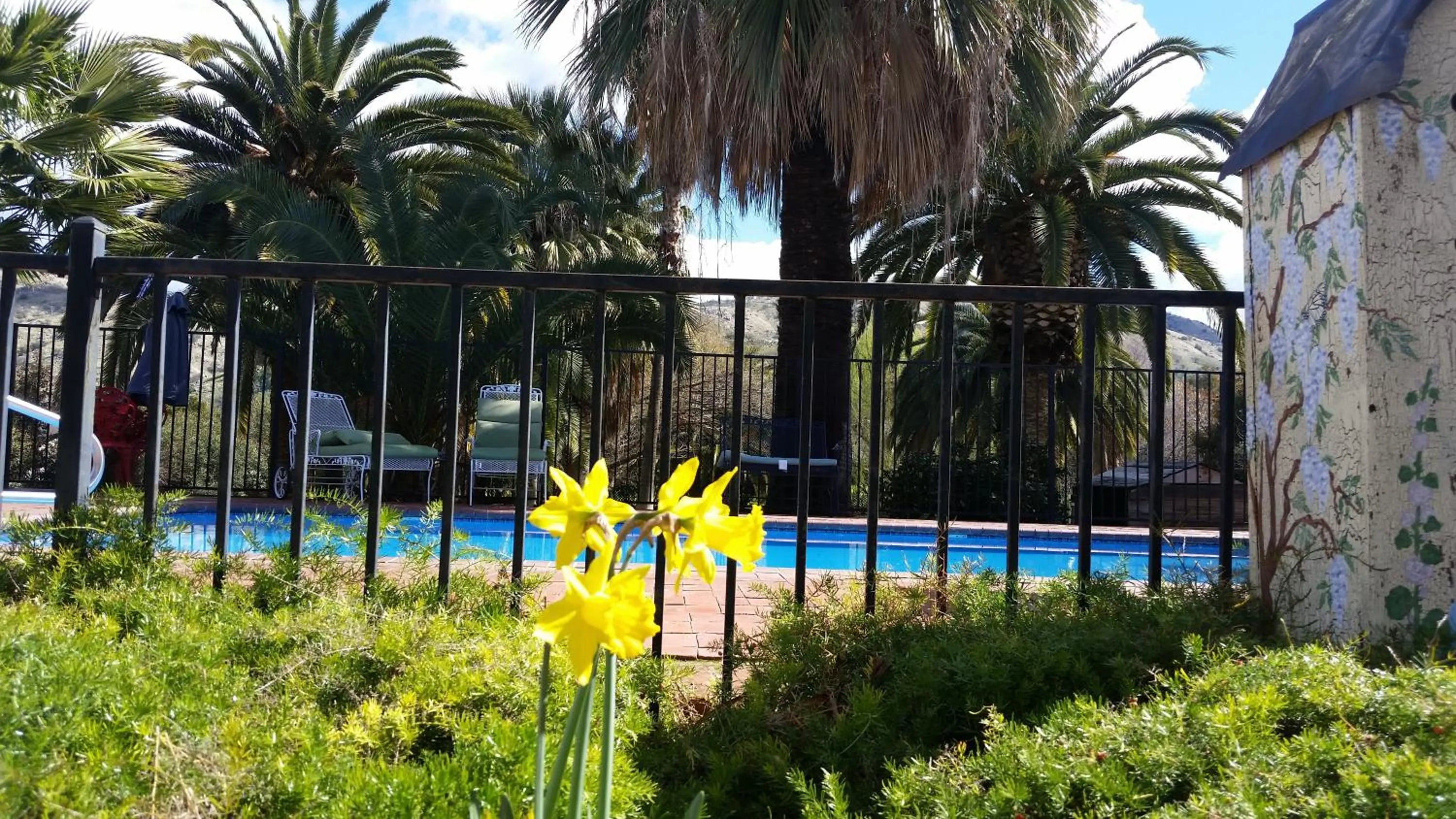 View (from property/room) in The Parks Inn