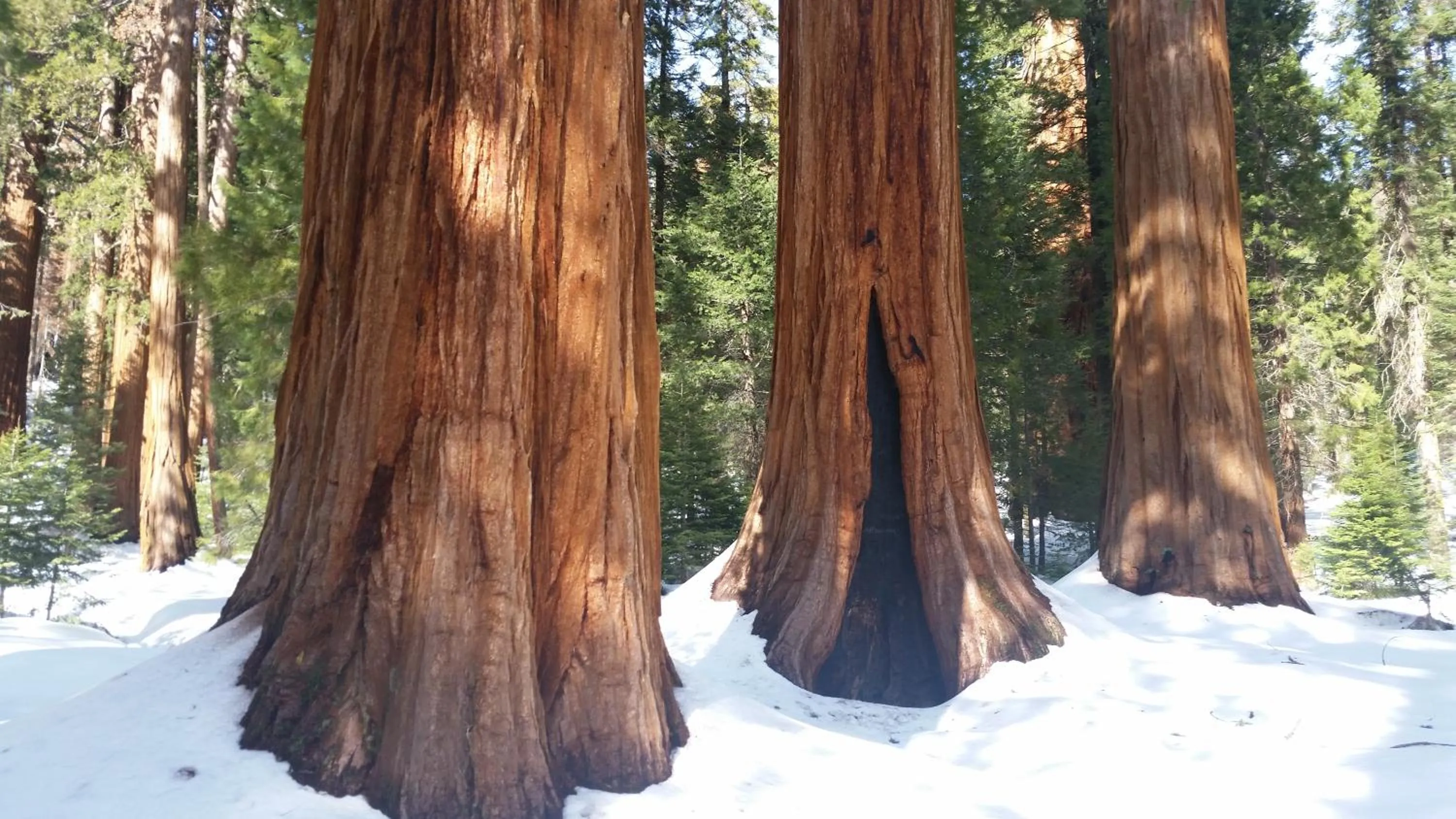 Hiking in The Parks Inn