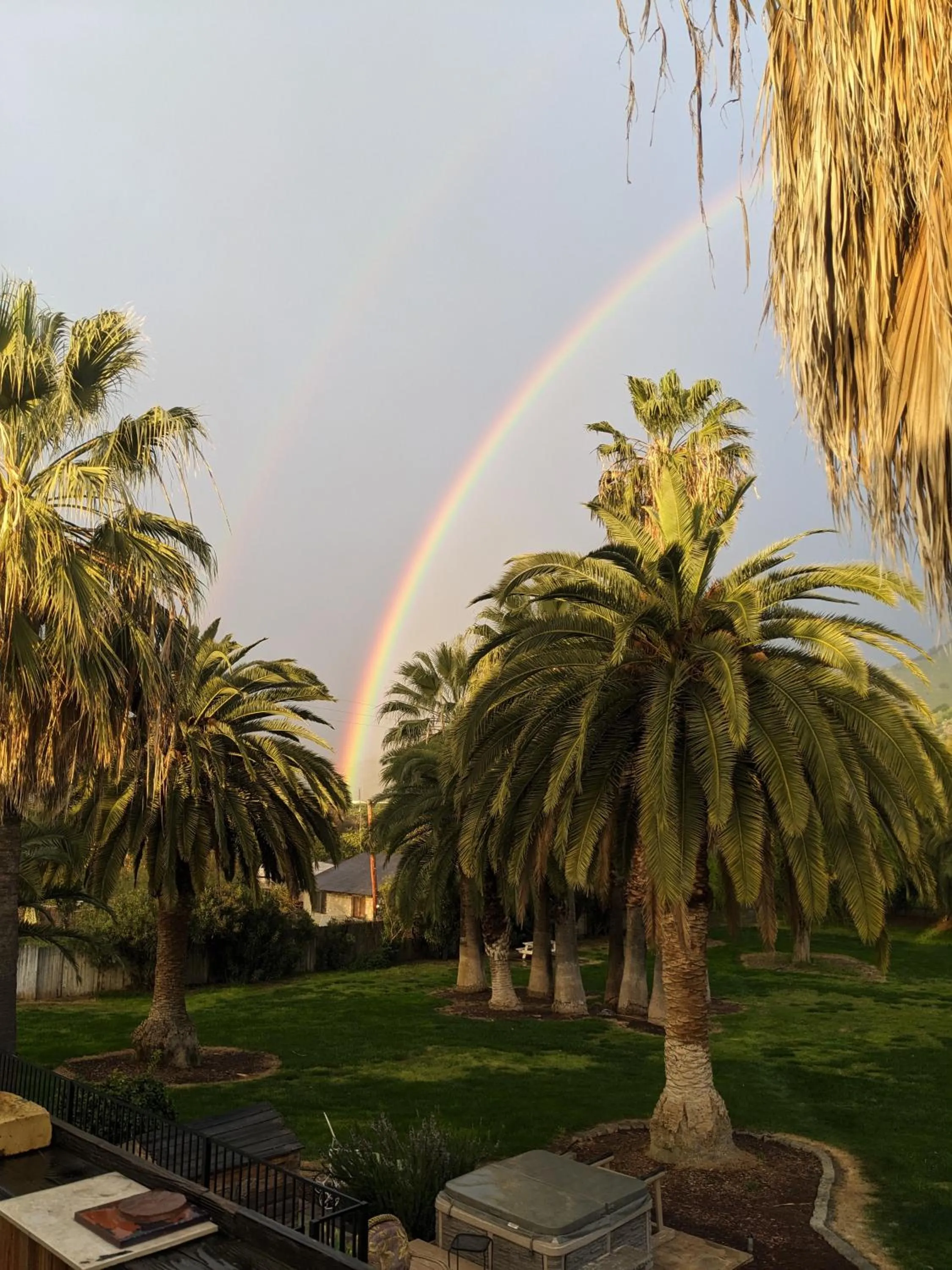 Natural landscape in The Parks Inn