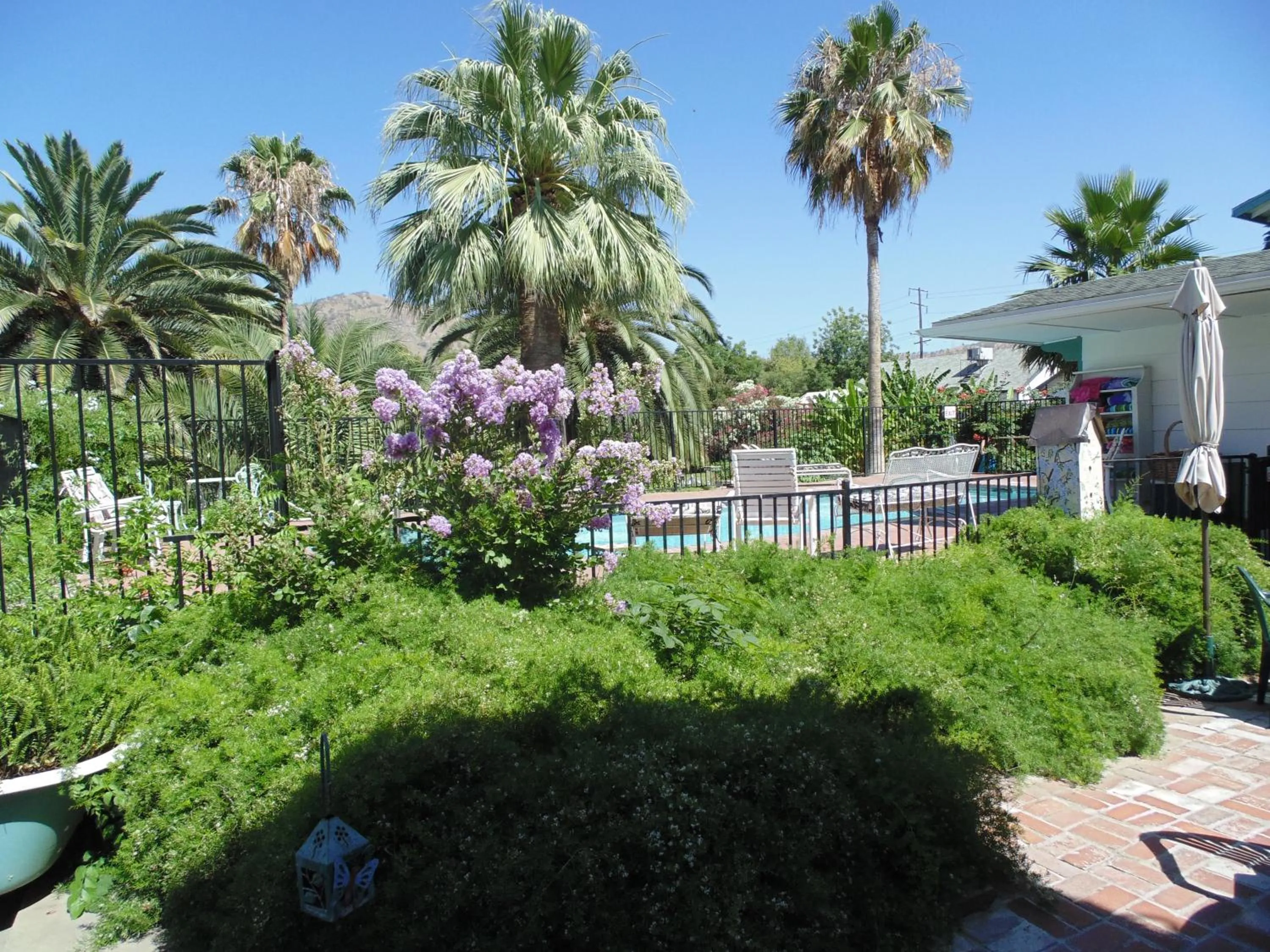 Garden in The Parks Inn