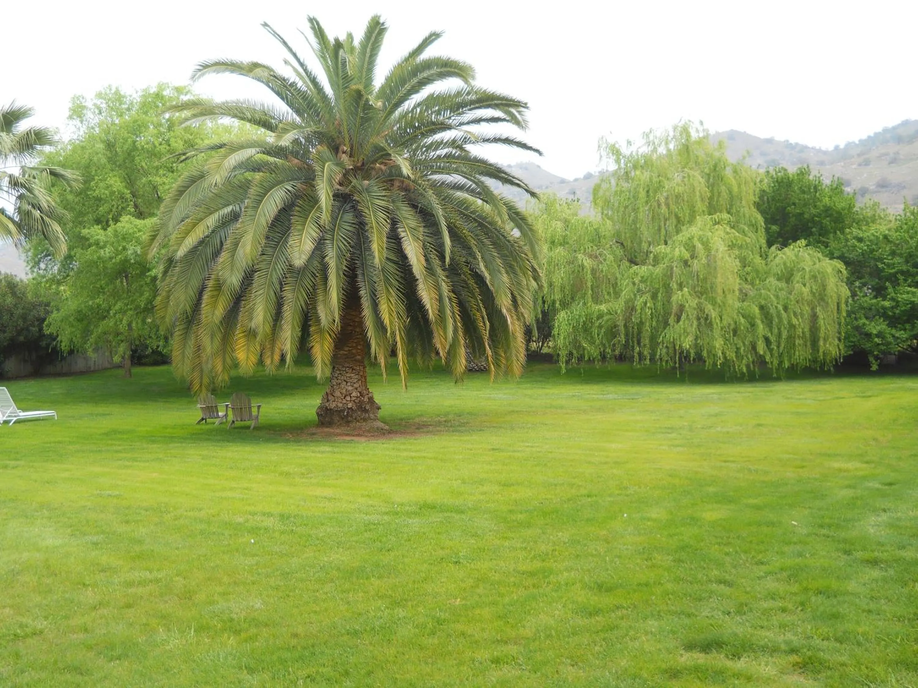 Garden in The Parks Inn