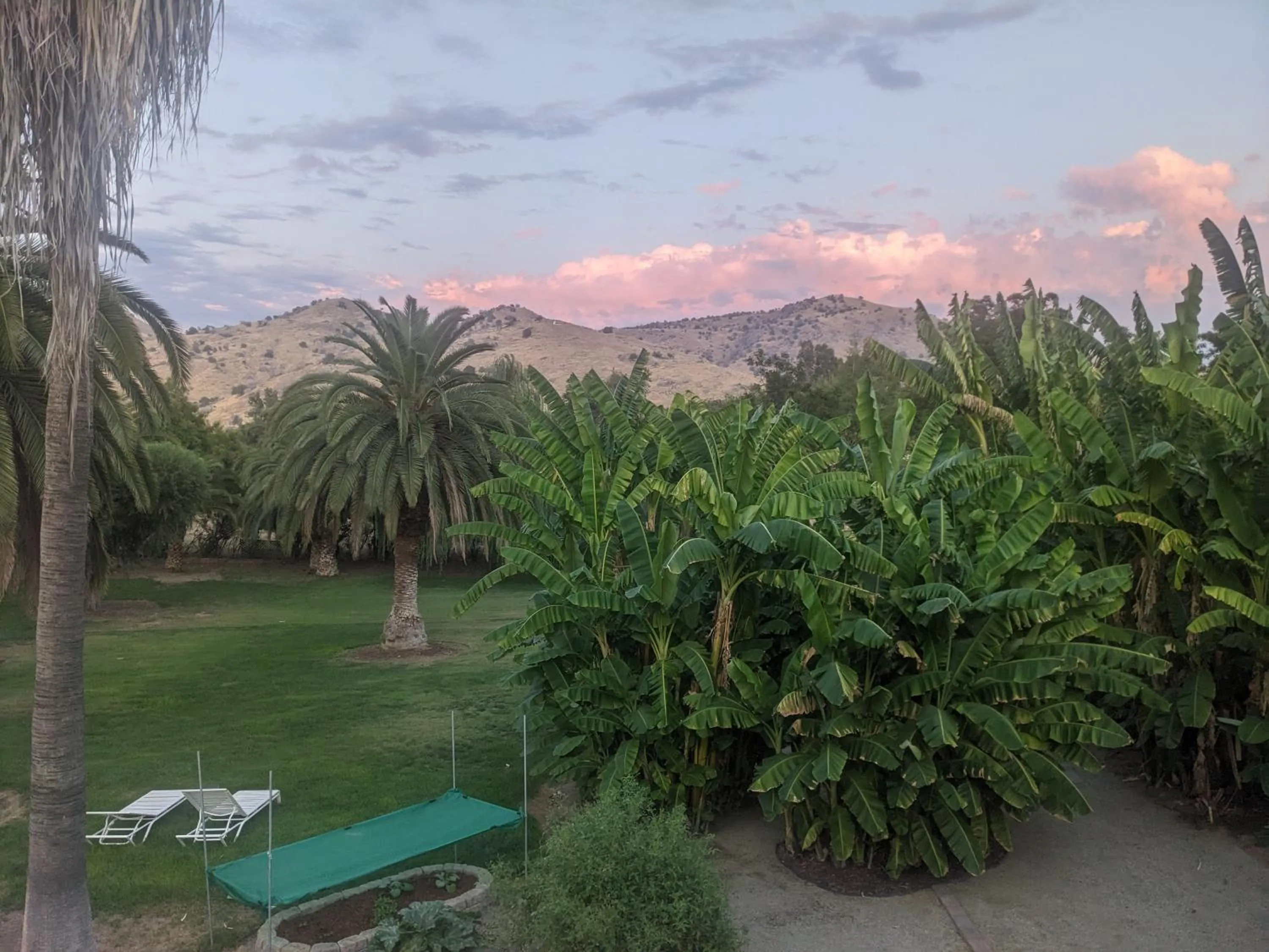 Natural landscape in The Parks Inn