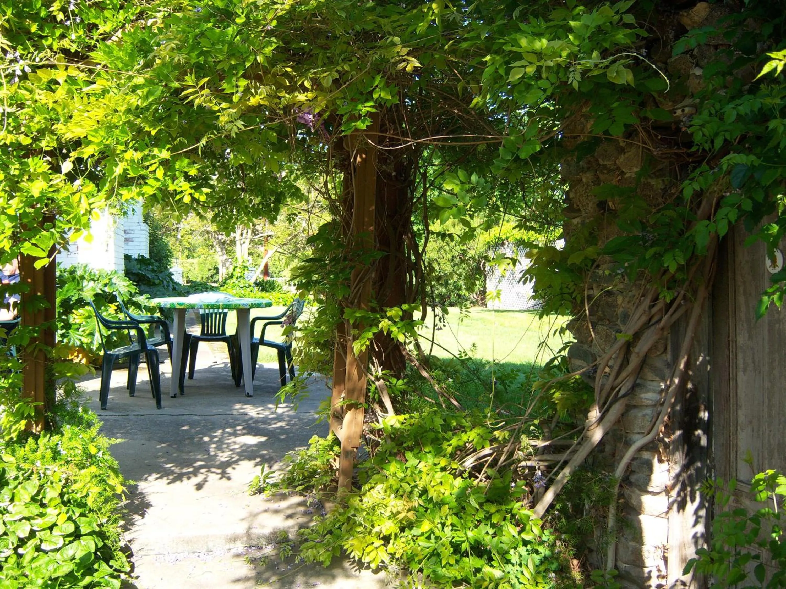 Garden in The Parks Inn