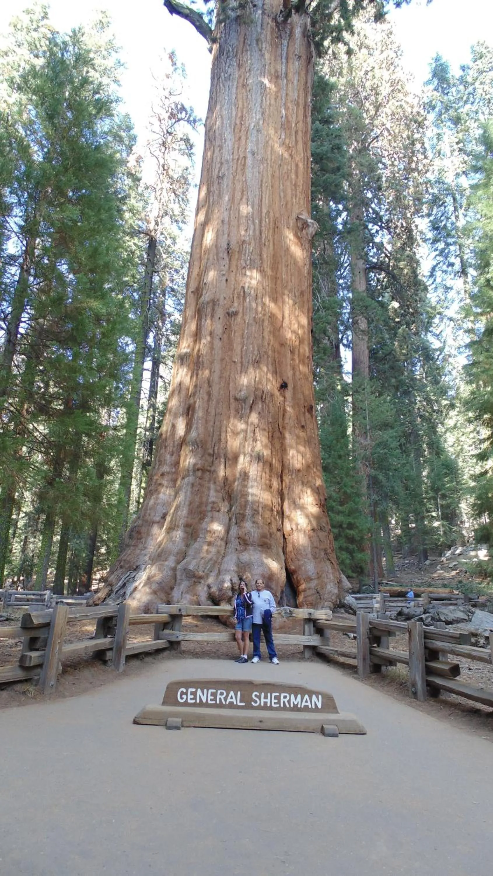 Hiking in The Parks Inn
