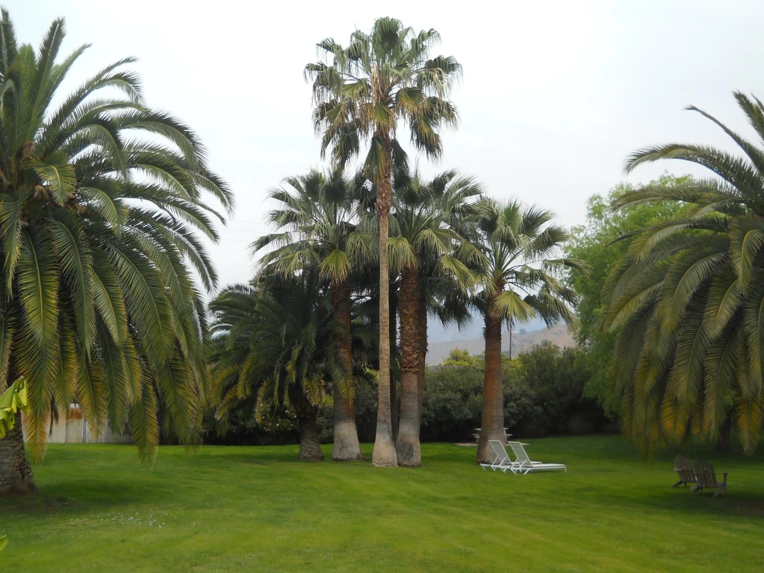 Area and facilities in The Parks Inn
