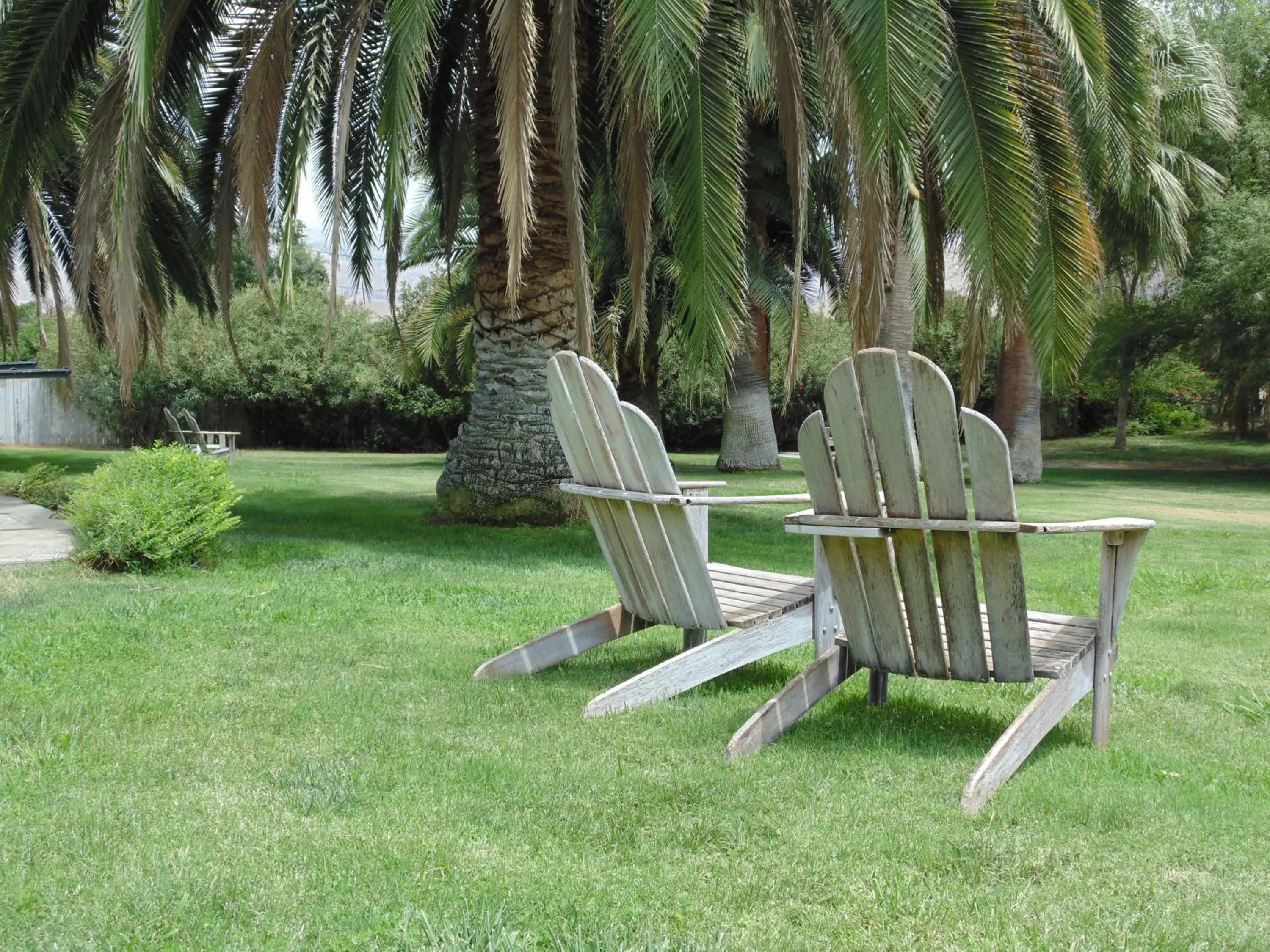 Garden in The Parks Inn