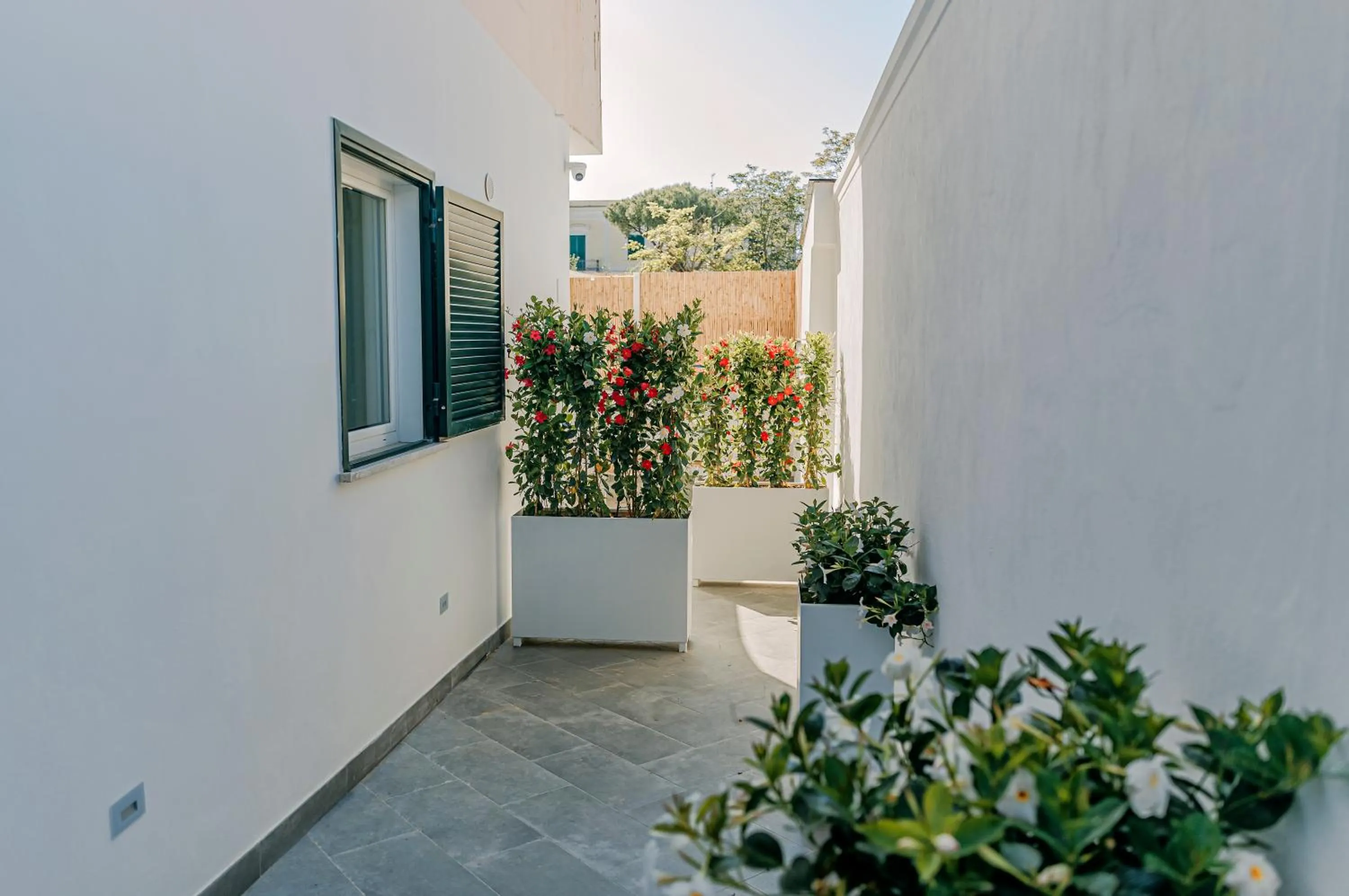 Davalos 14 Luxury Home
