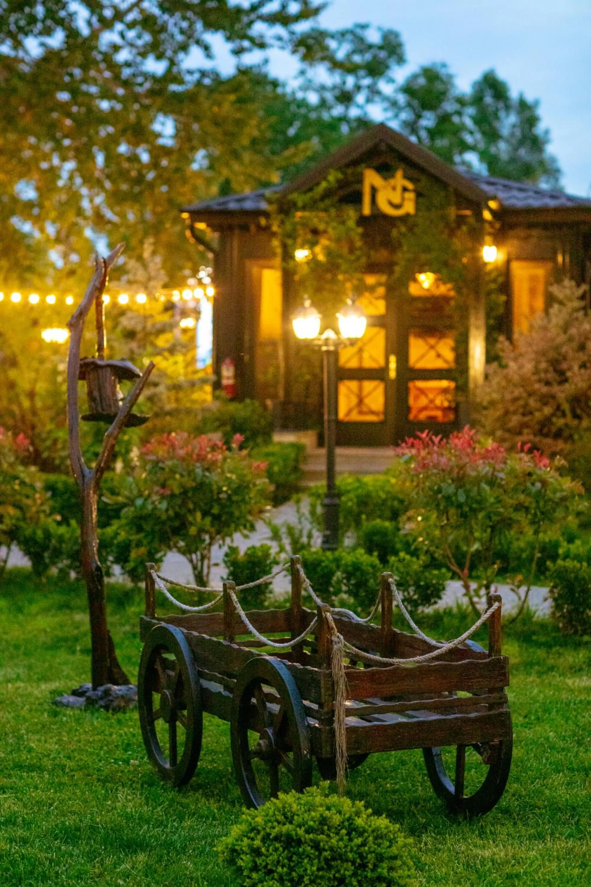 Restaurant/places to eat in Nohur Hotel Gabala