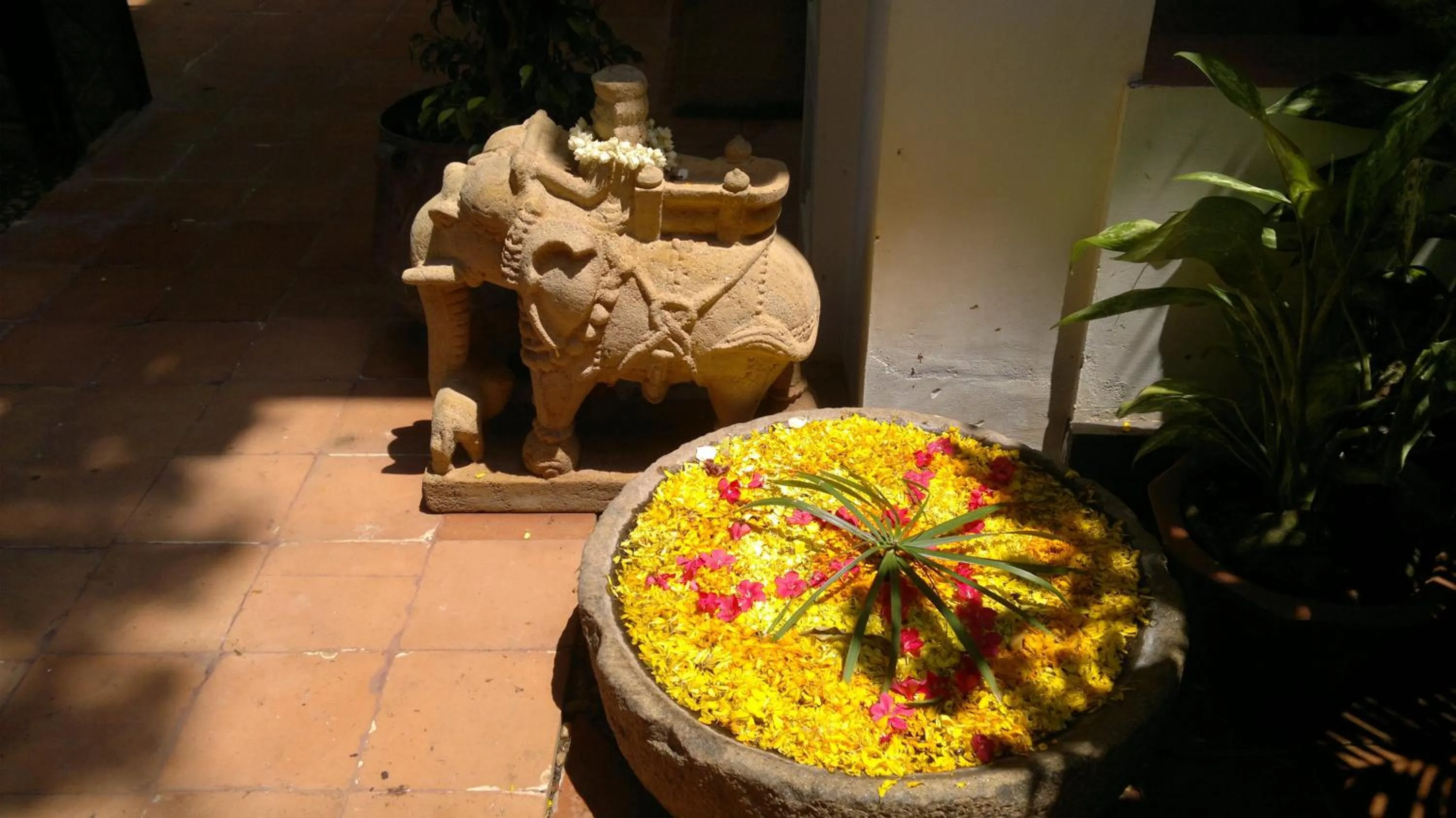 Garden in Raheem Residency