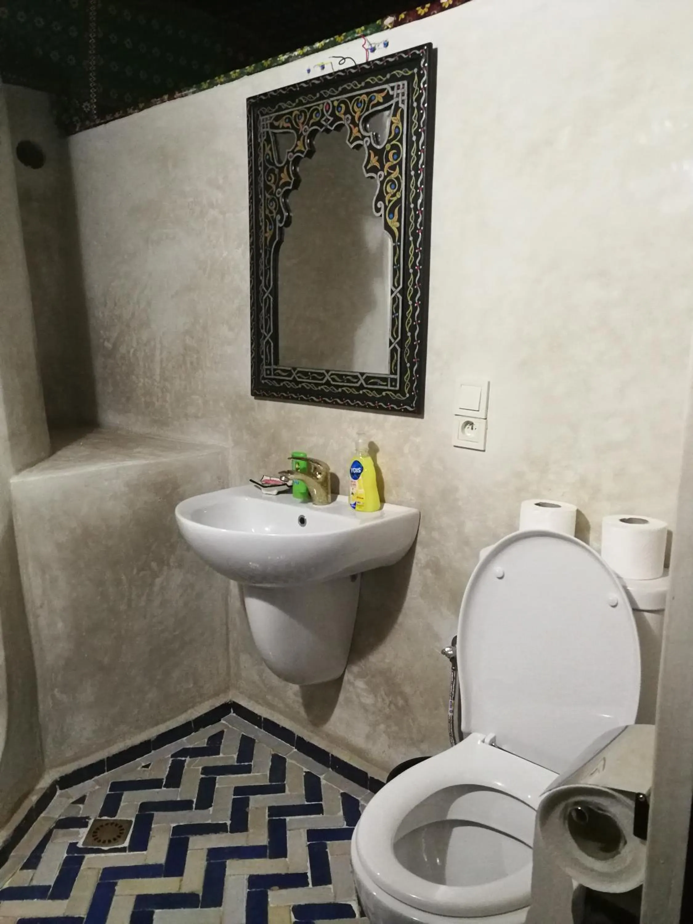 Toilet in Riad Jnane Imlil