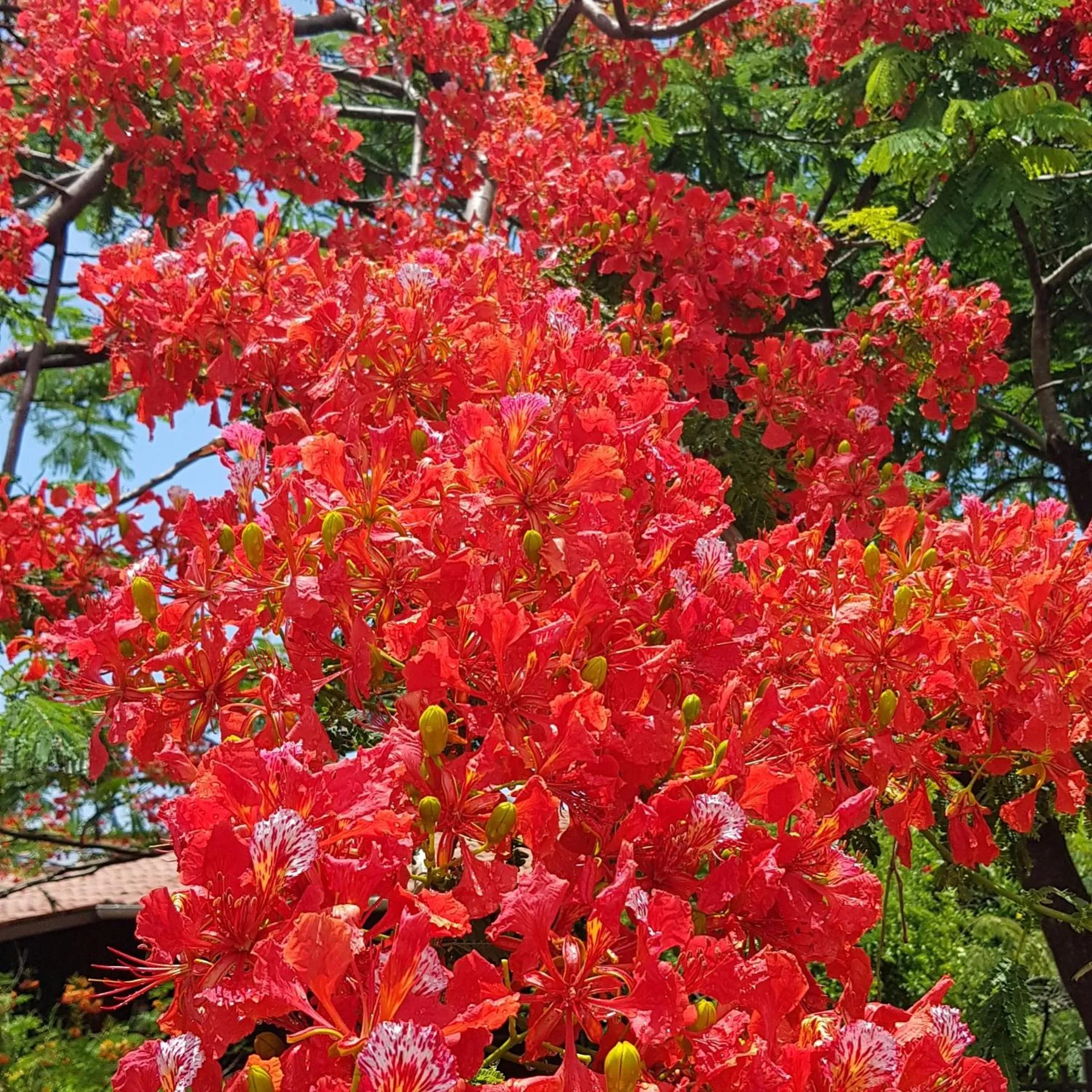 Natural landscape in Pousada Capim Açu