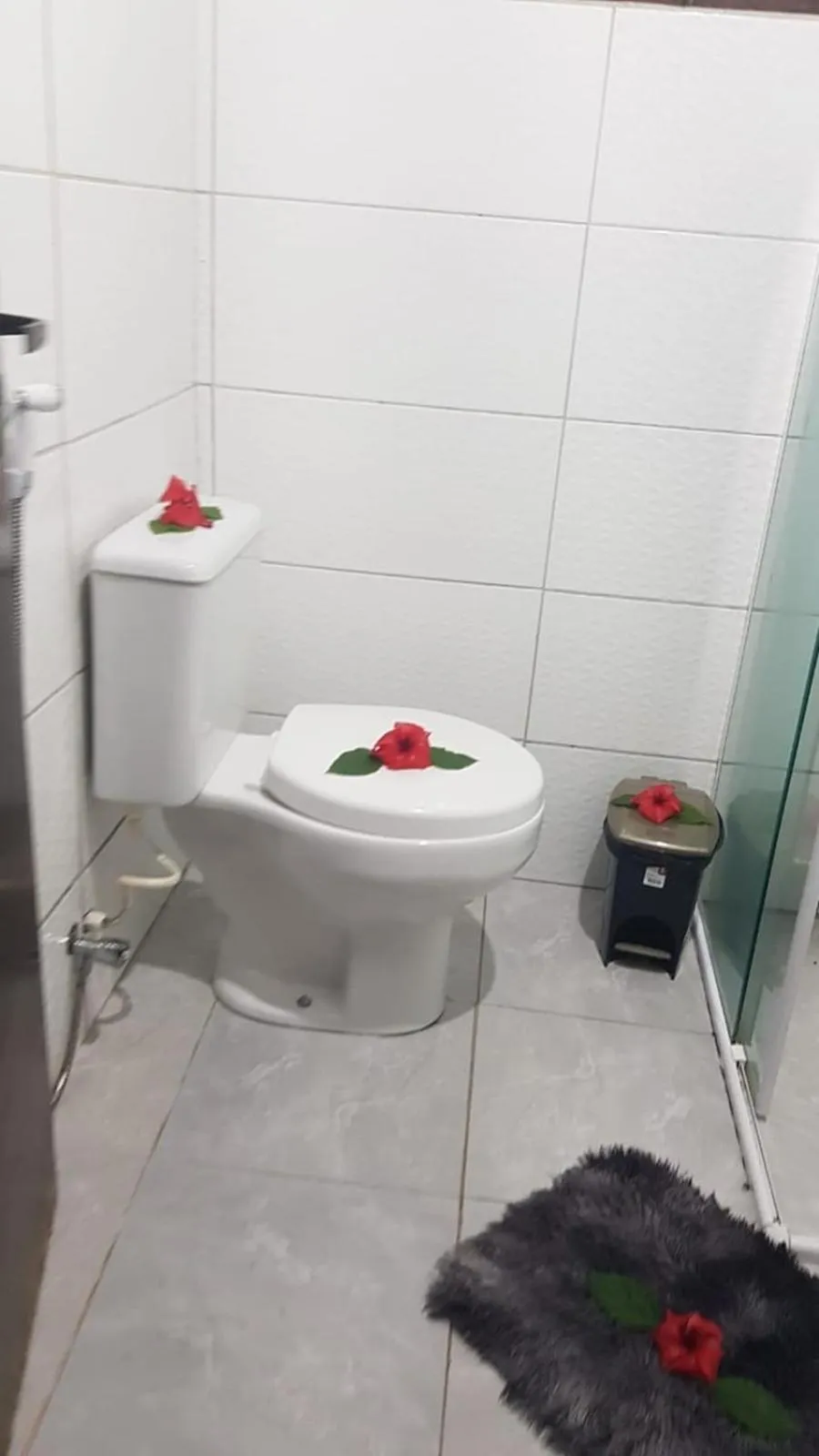 Toilet in Pousada Capim Açu