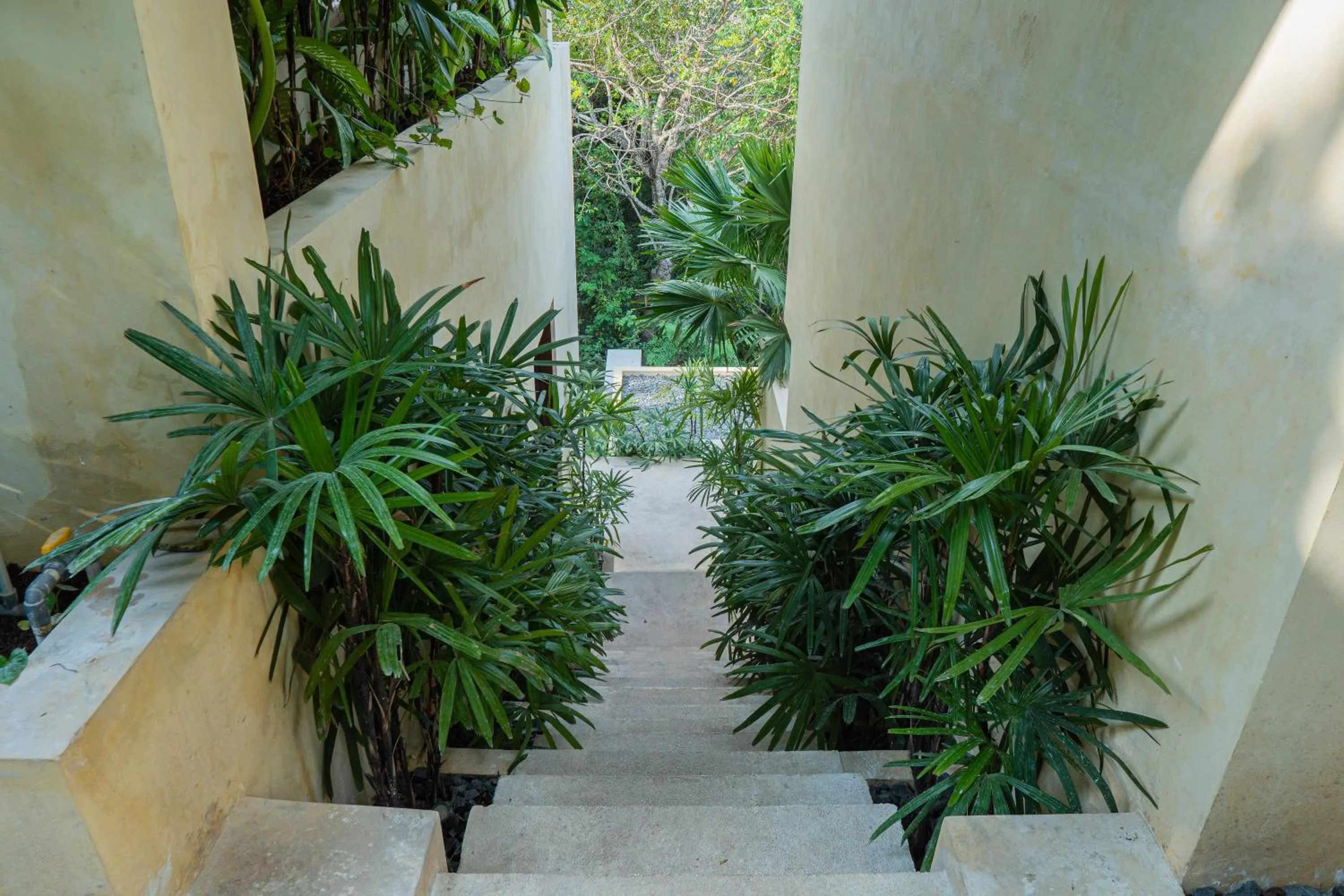 Spring in Olea Villas Resort