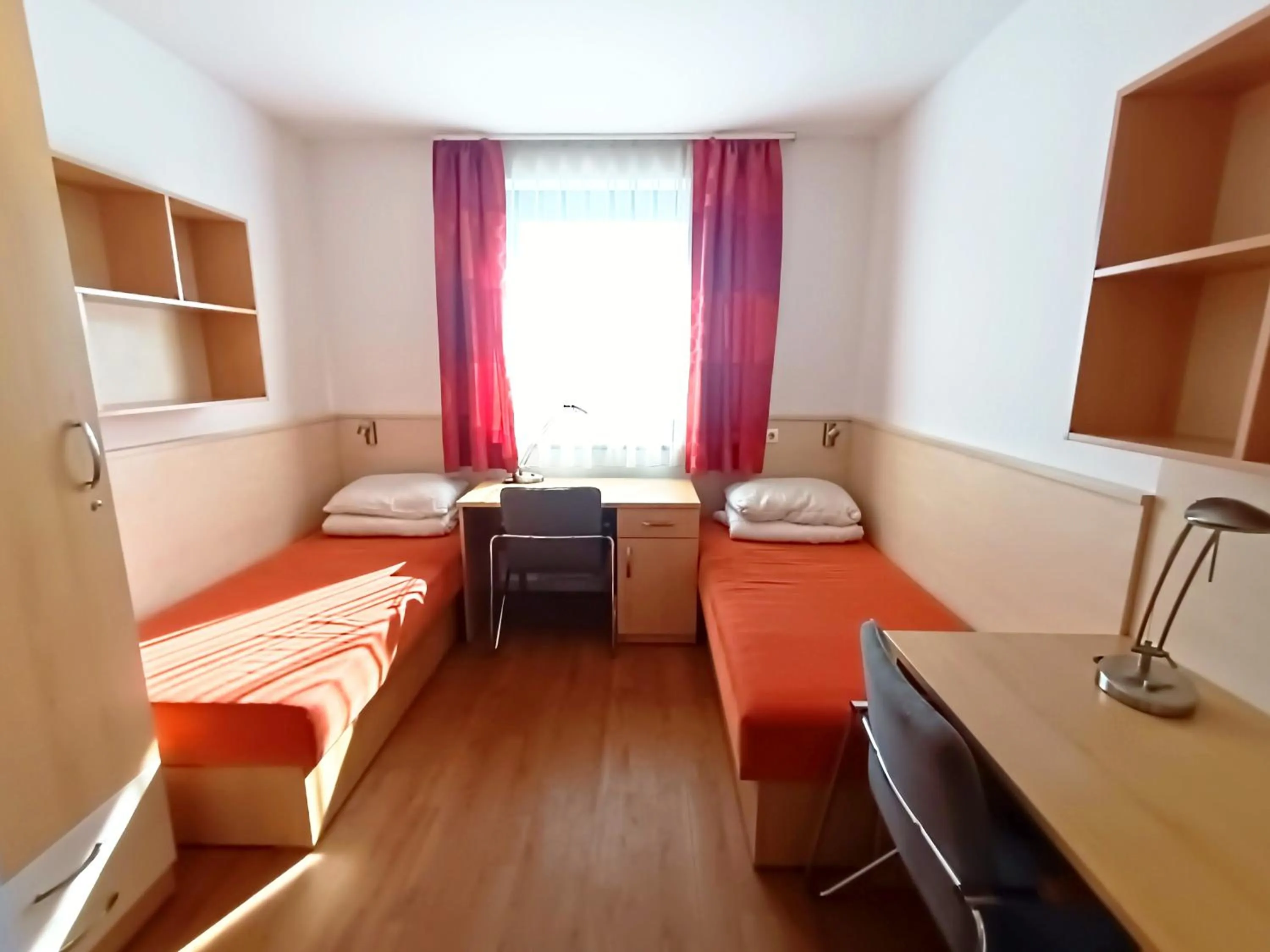 Decorative detail in Famulus Kollégium