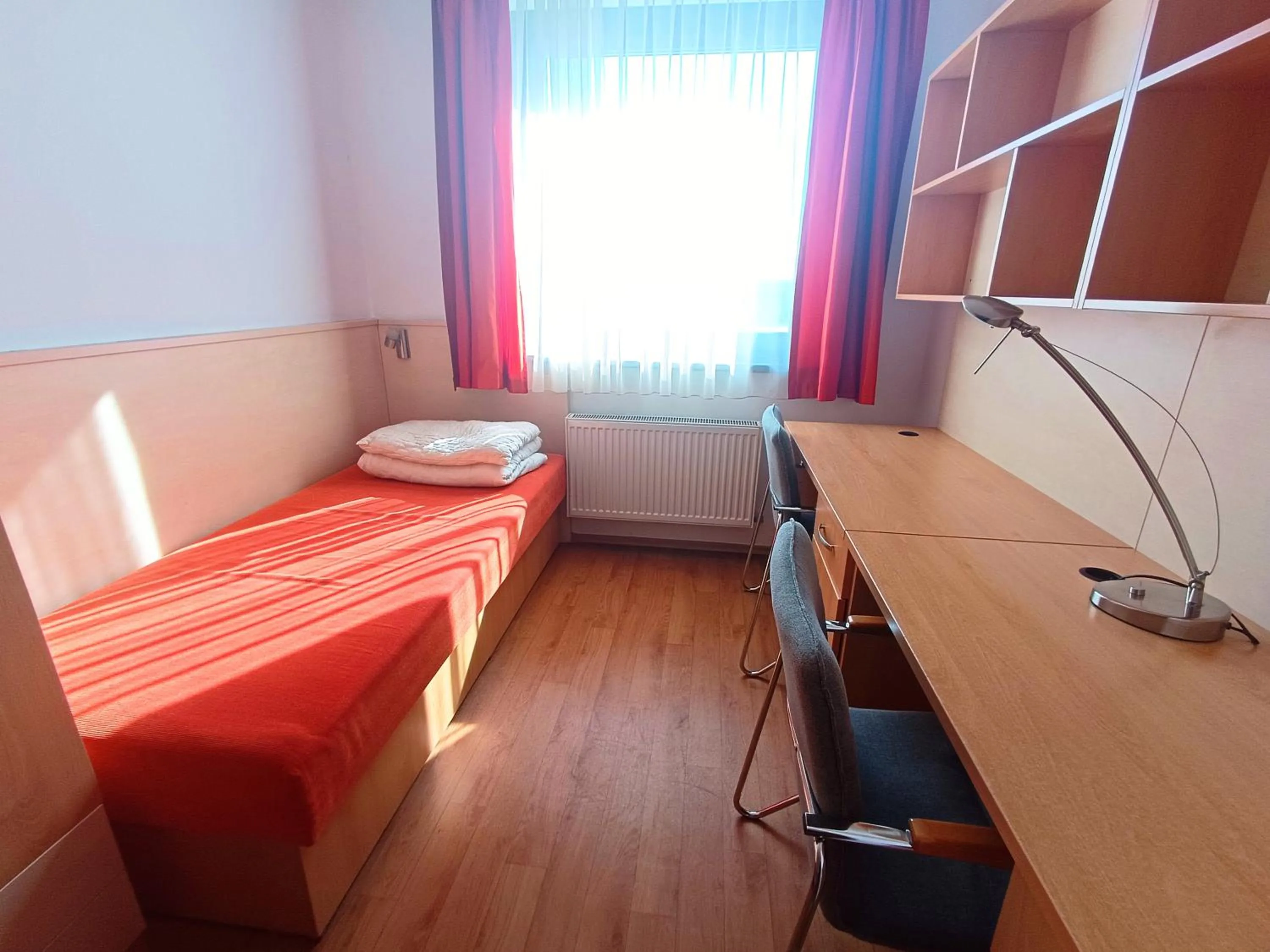 Decorative detail in Famulus Kollégium