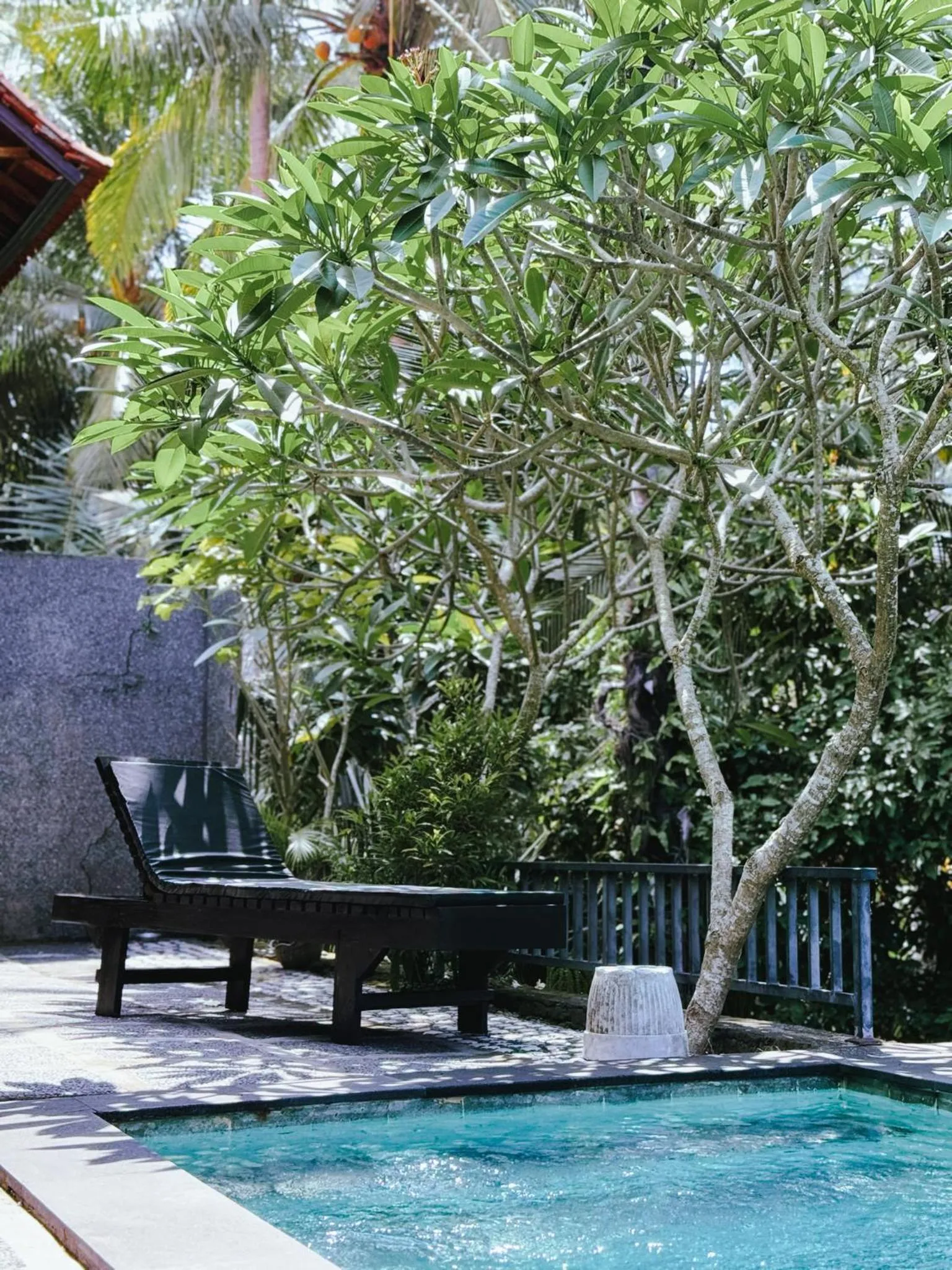 Spring in Biya Lumba