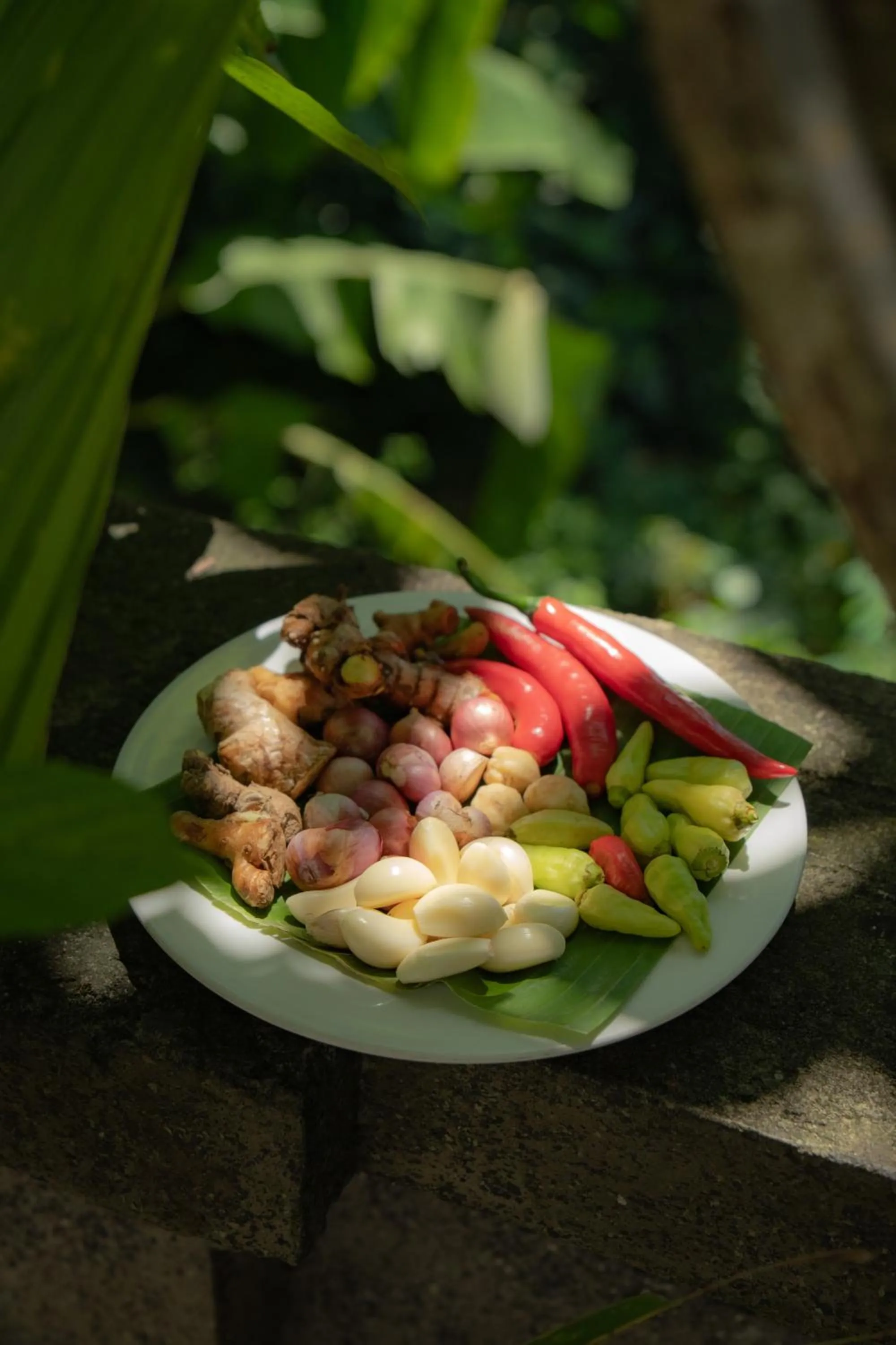 Food and drinks in Biya Lumba