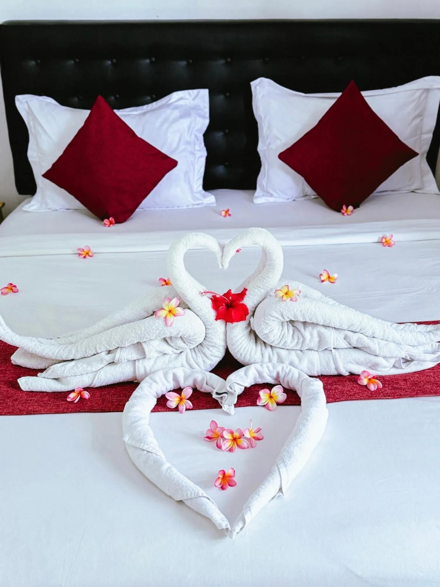 Photo of the whole room in Biya Lumba