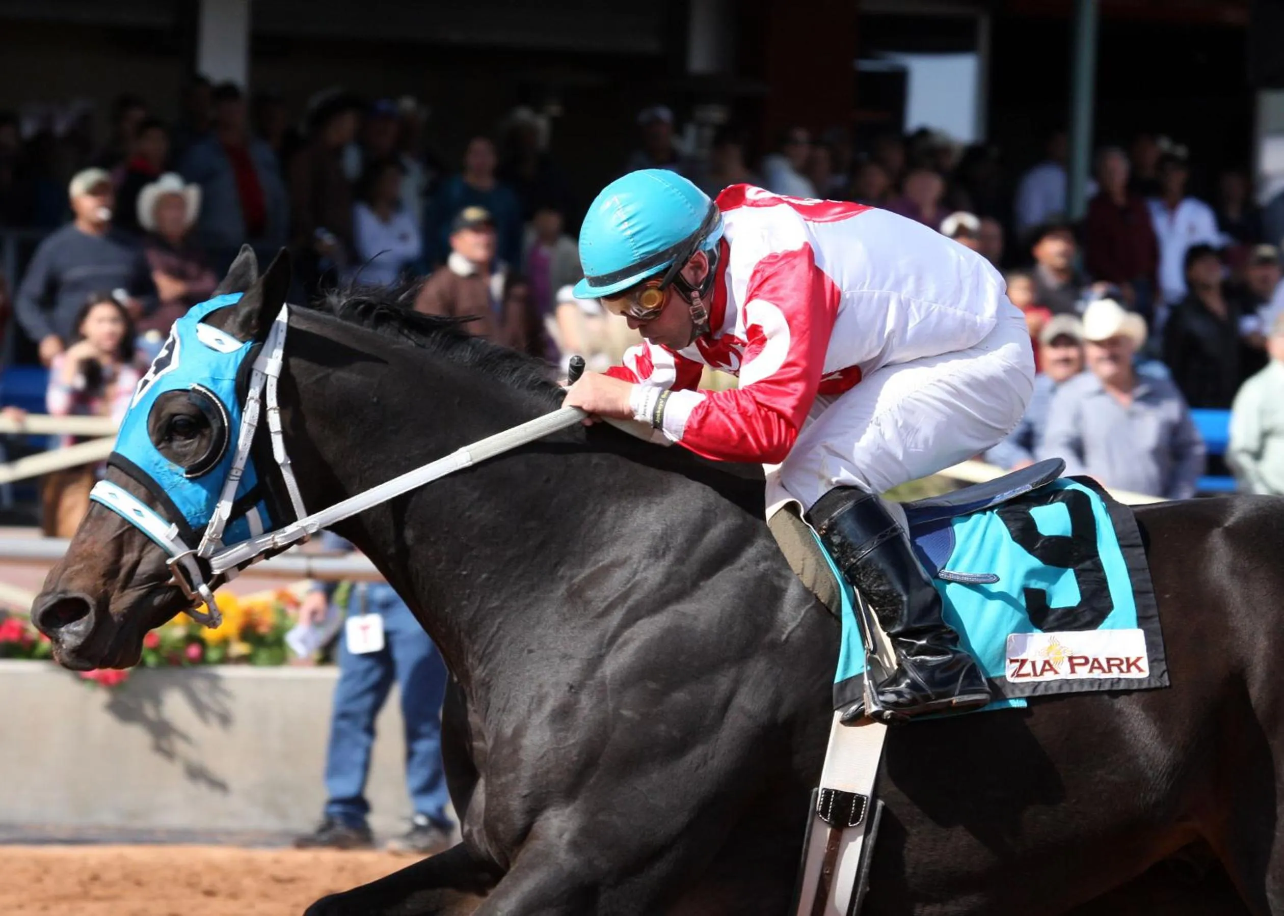 Day in Zia Park Casino, Hotel, & Racetrack