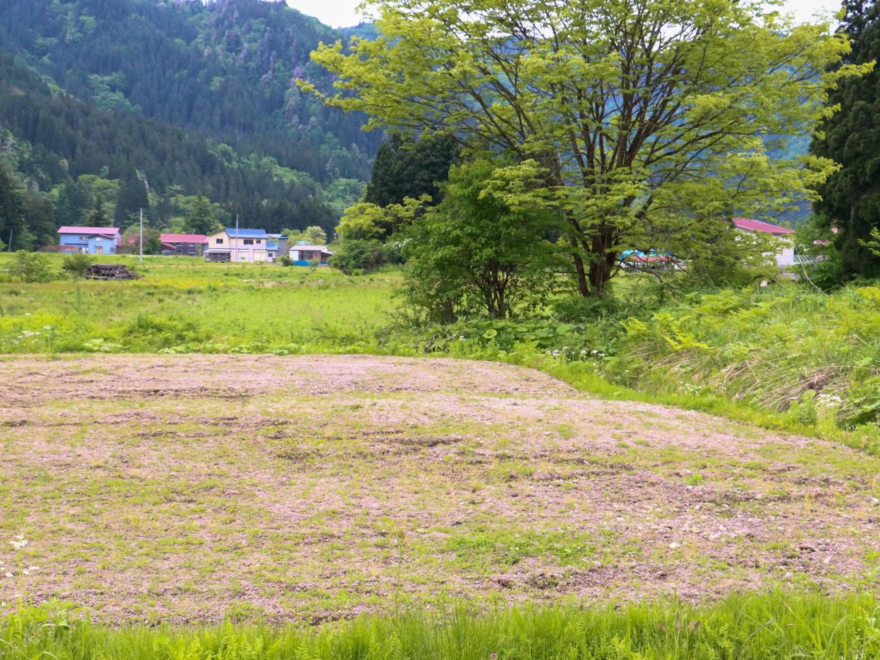 Natural landscape in Farm Inn Seisetsukan
