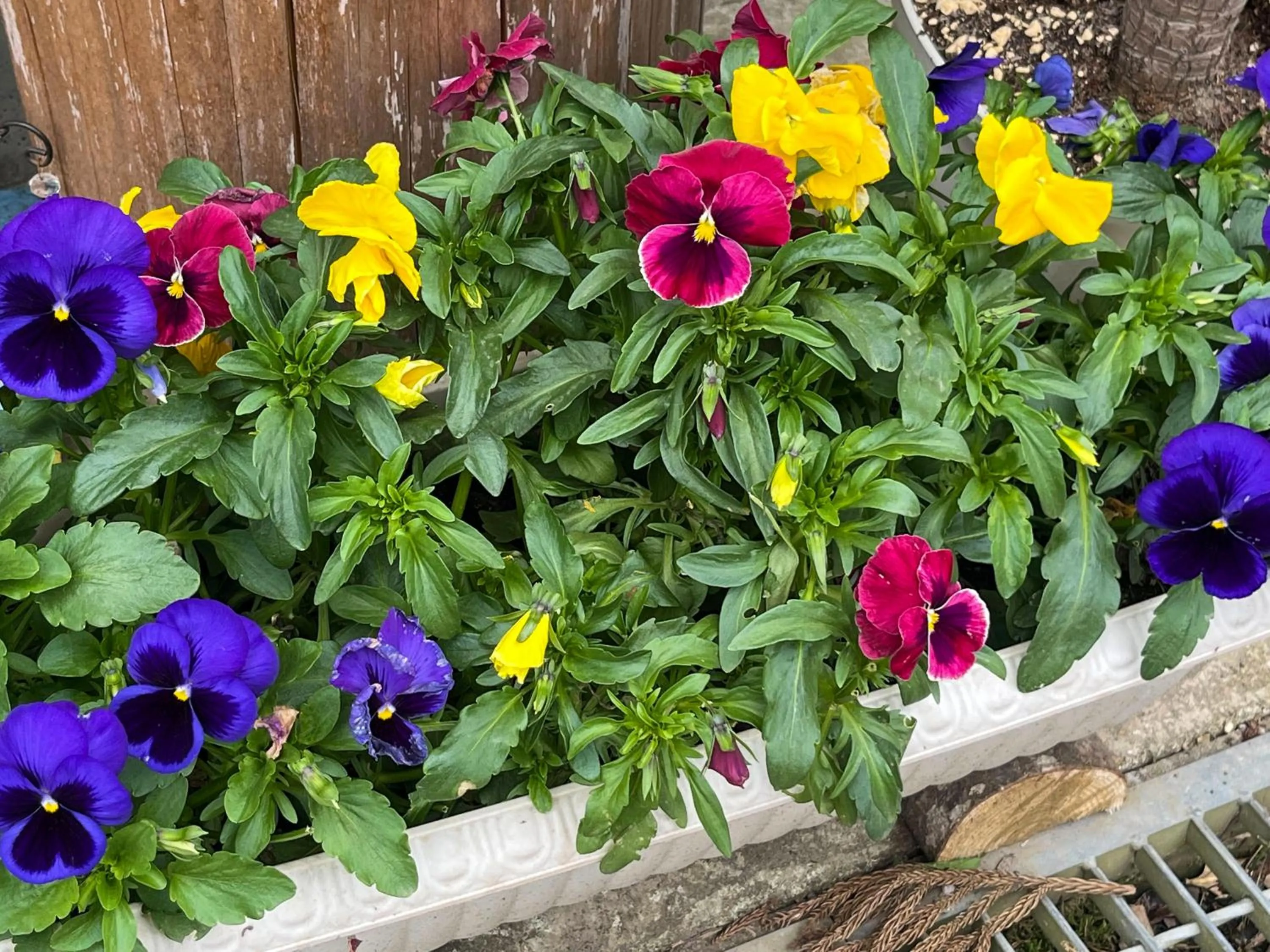 Garden in Farm Inn Seisetsukan
