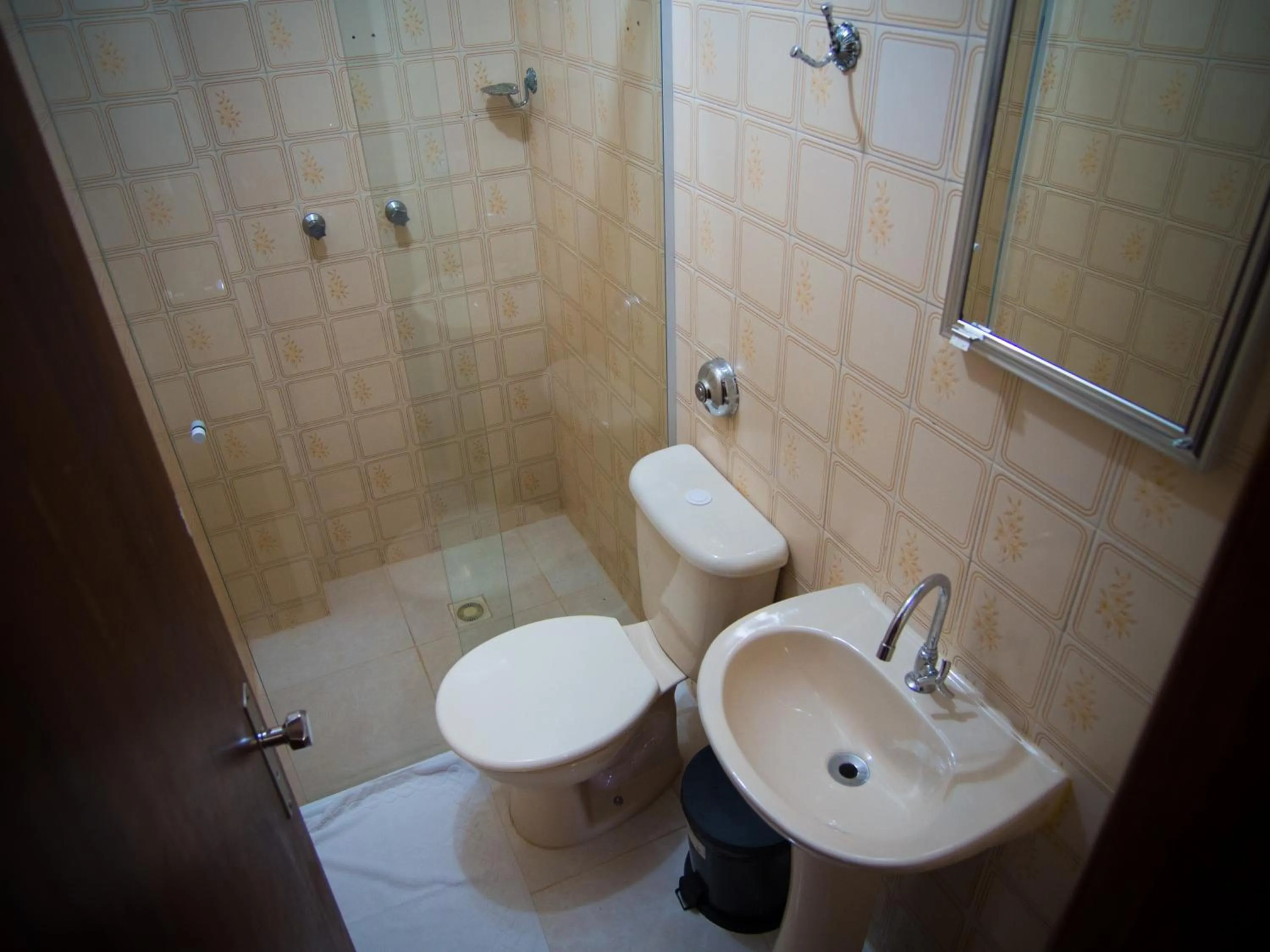 Bathroom in Estrela do Sul Hotel