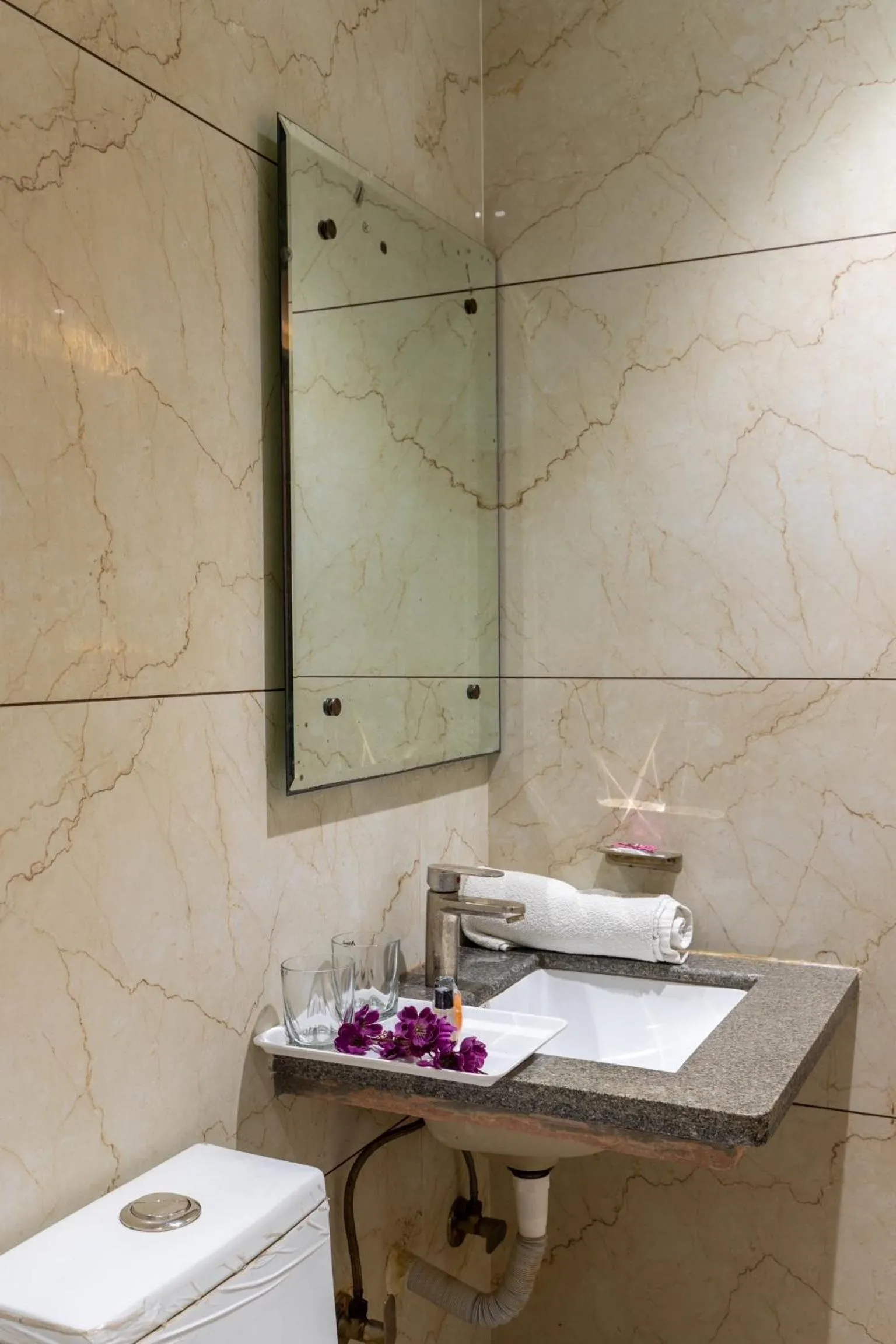 Toilet in Hotel Meghdoot, Bhopal