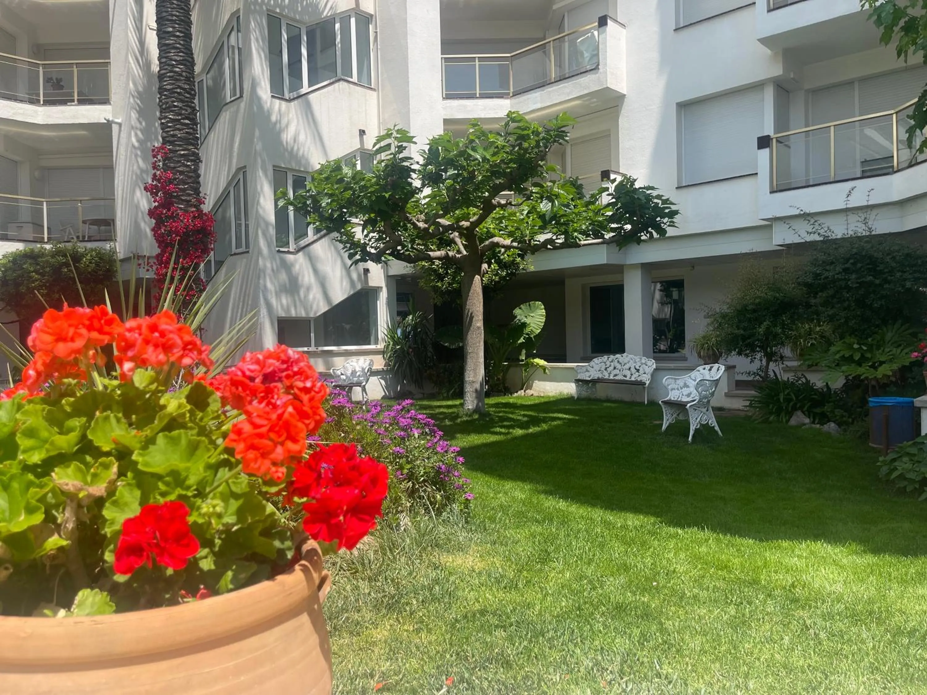 Property building in Nemi