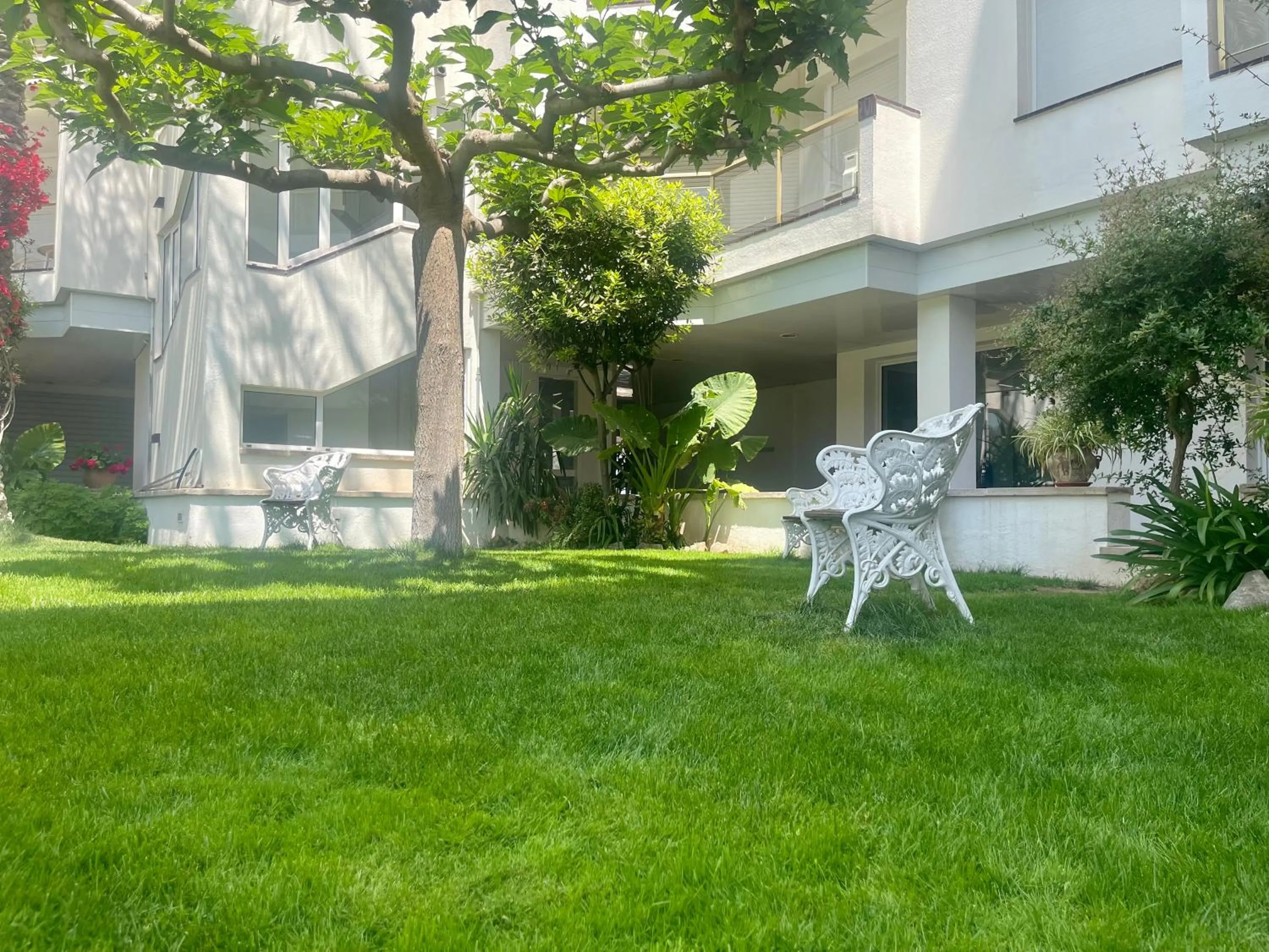 Property building in Nemi