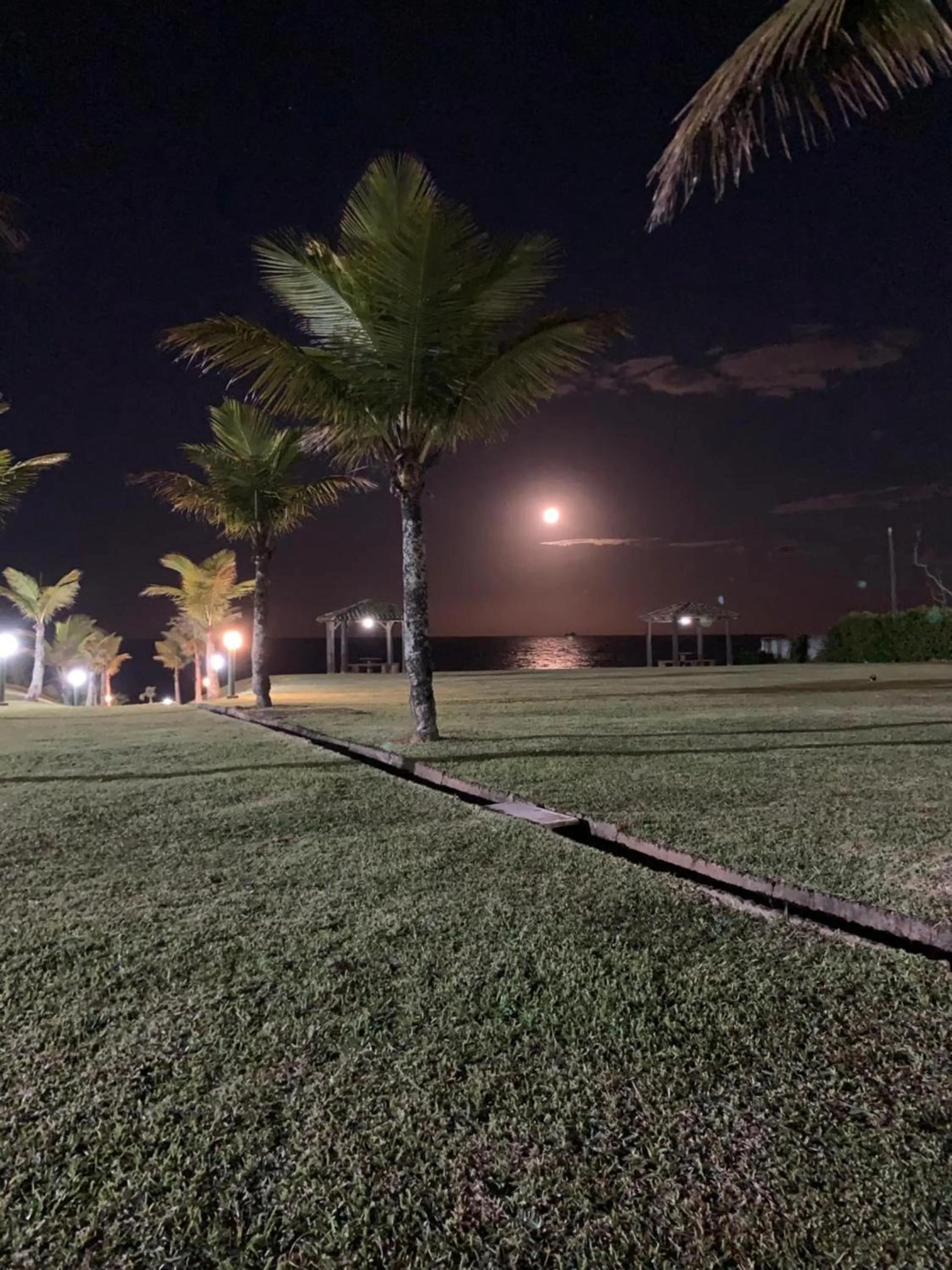 Night in Flamboyant Hotel