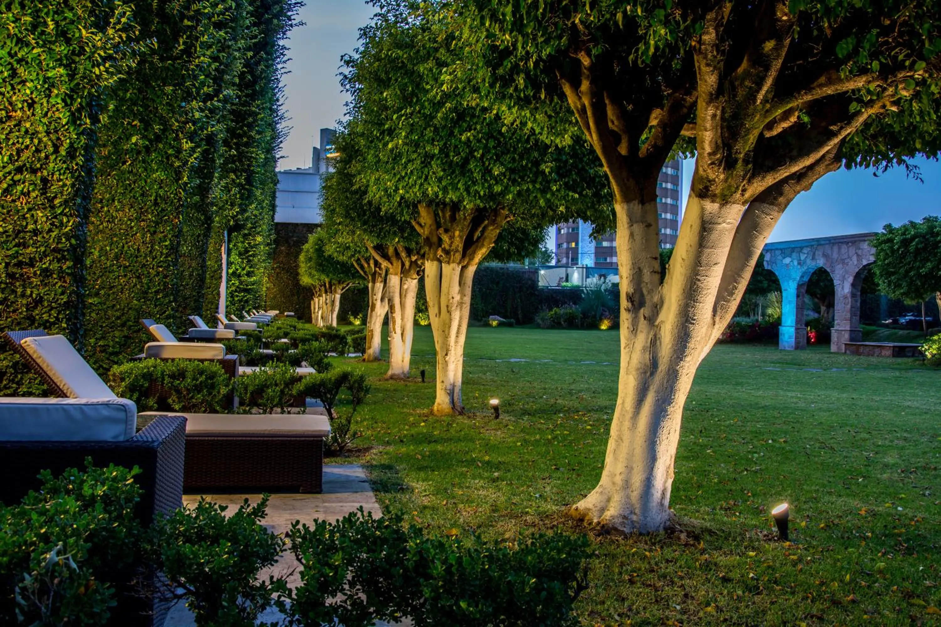 Garden in Hotel Estancia Business Class