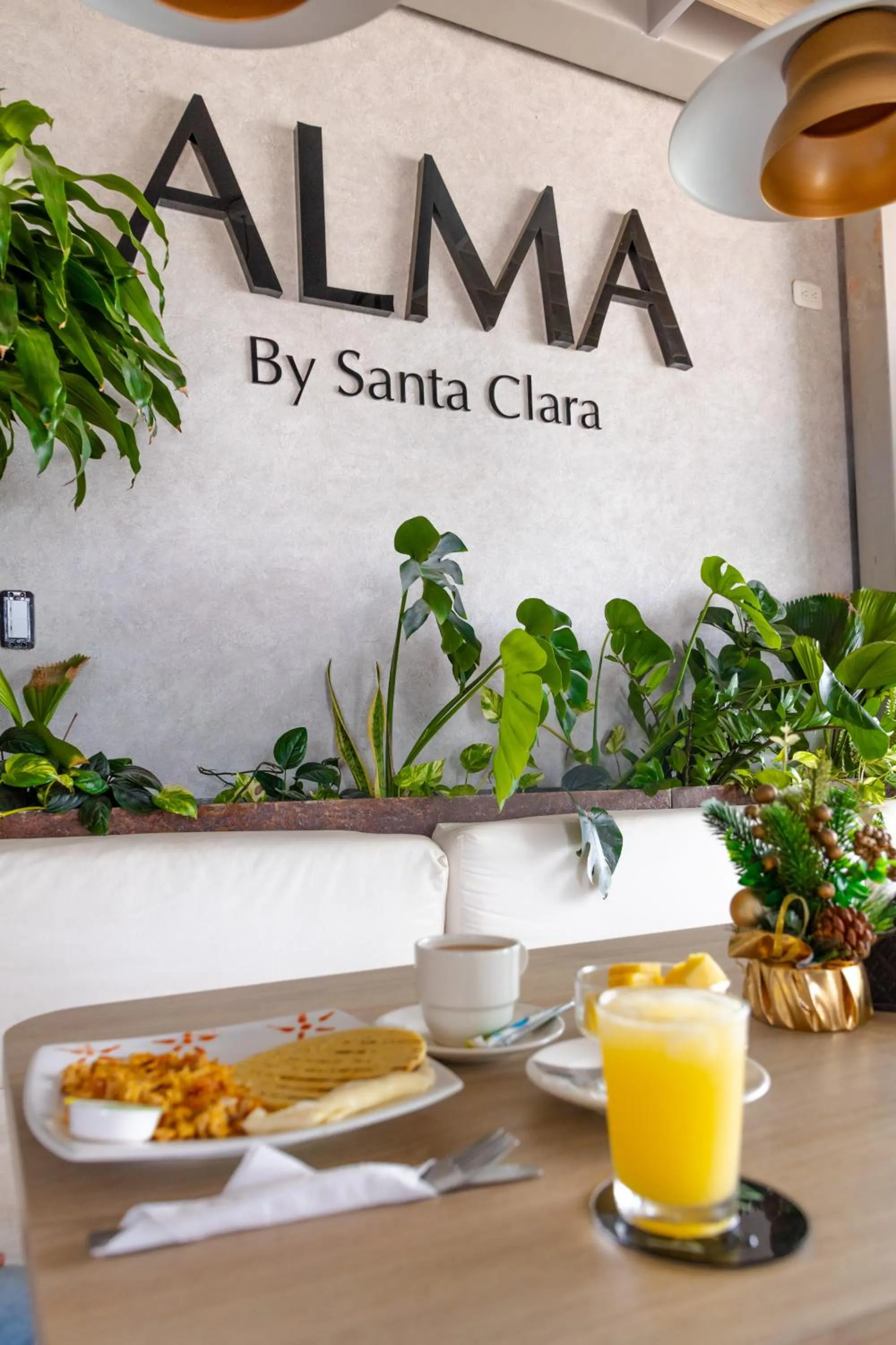 Food and drinks in Hotel Santa Clara Boutique