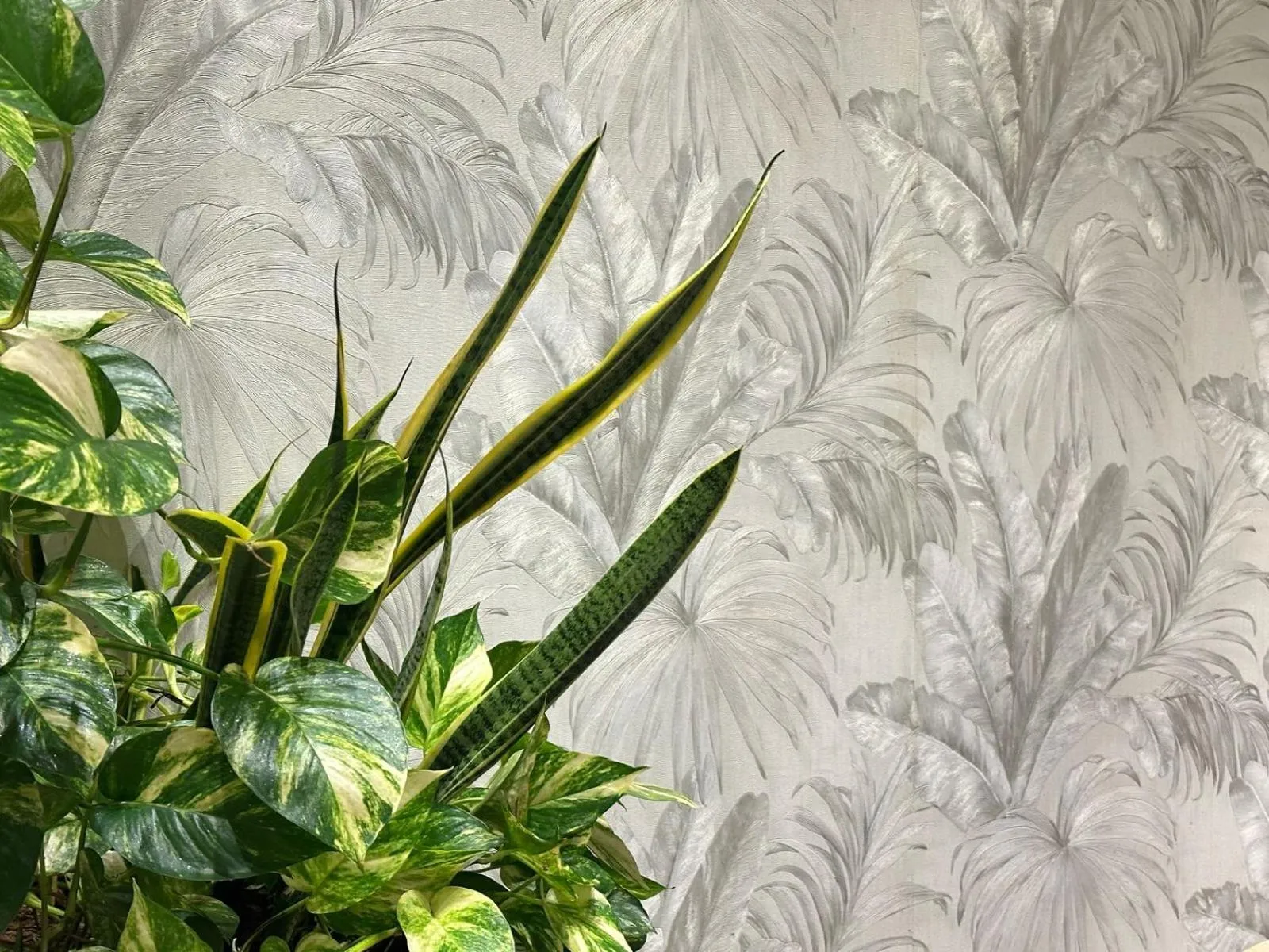 Garden in Hotel Santa Clara Boutique