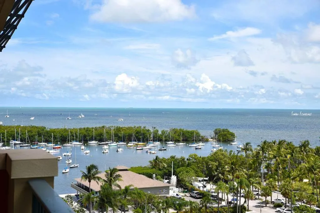 Ocean View 2bd2bth Hotel In Coconut Grove