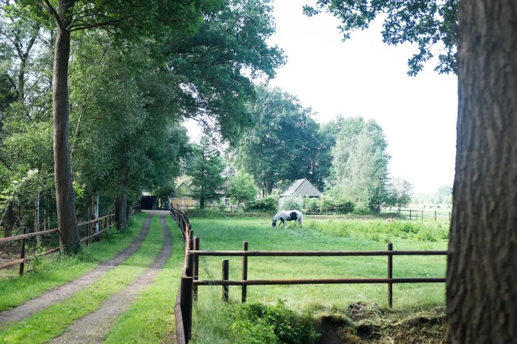 Gastenverblijf Het Muzehuis