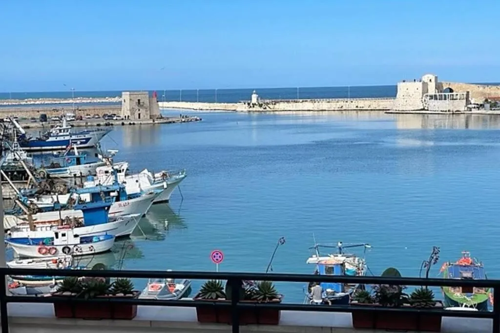 Emozioni dal Porto