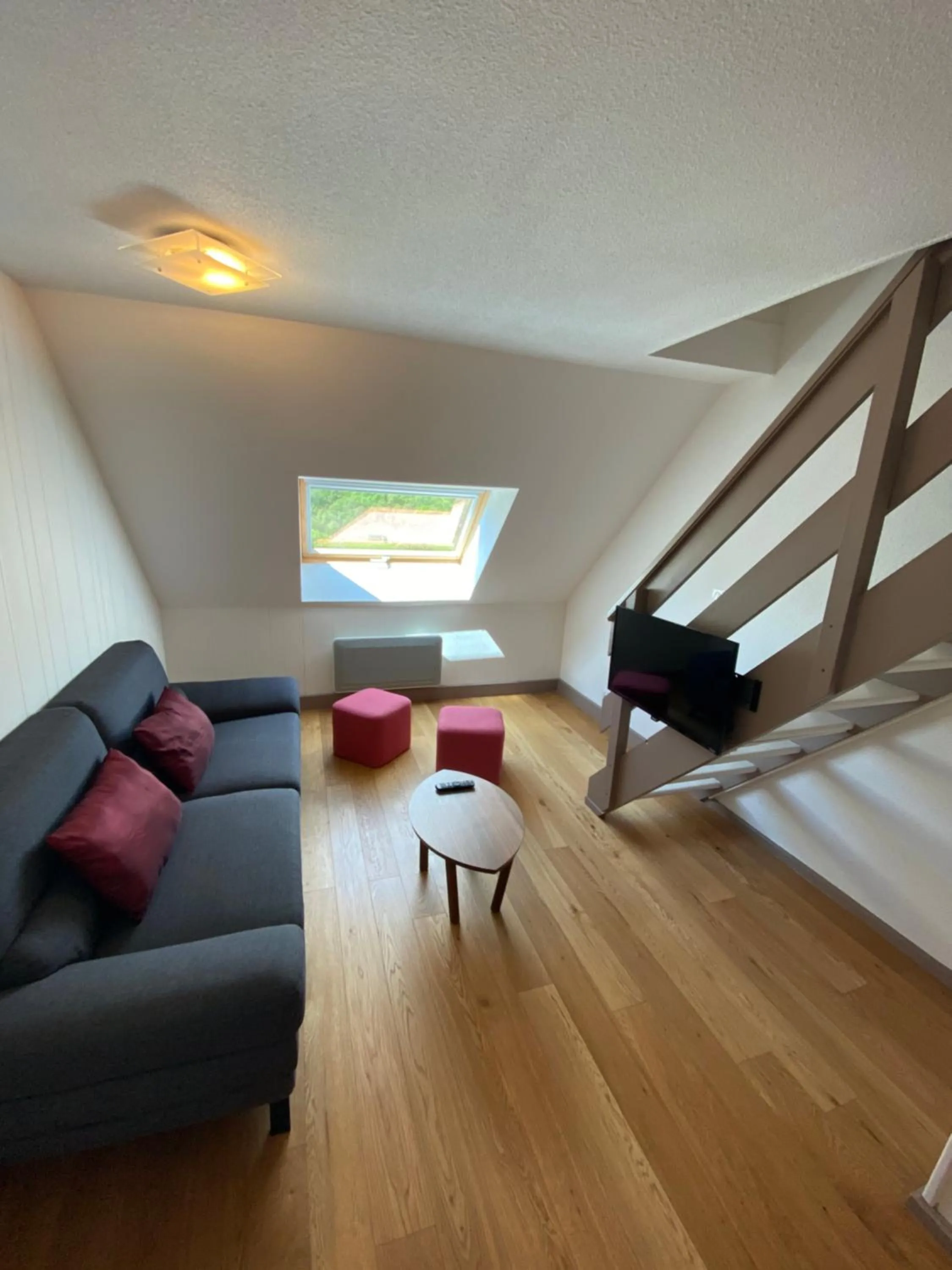 TV and multimedia in Sancy Resort