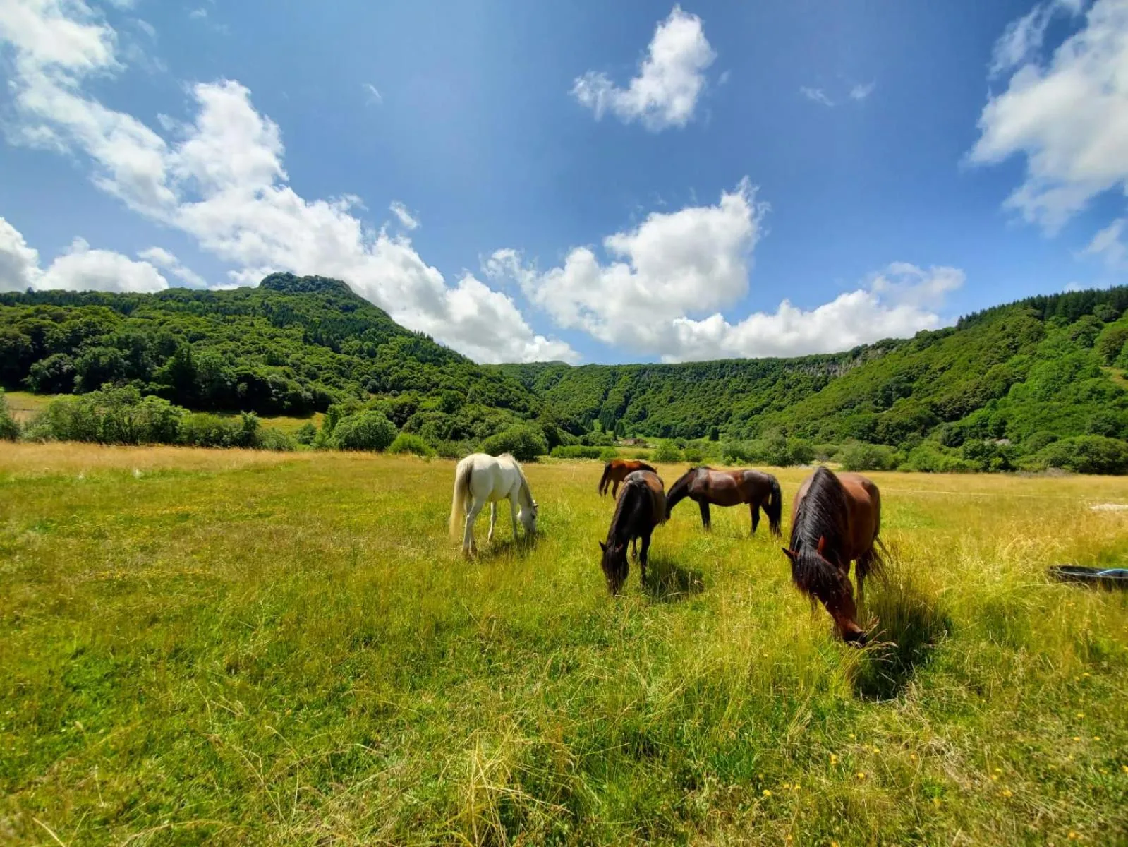 Sancy Resort