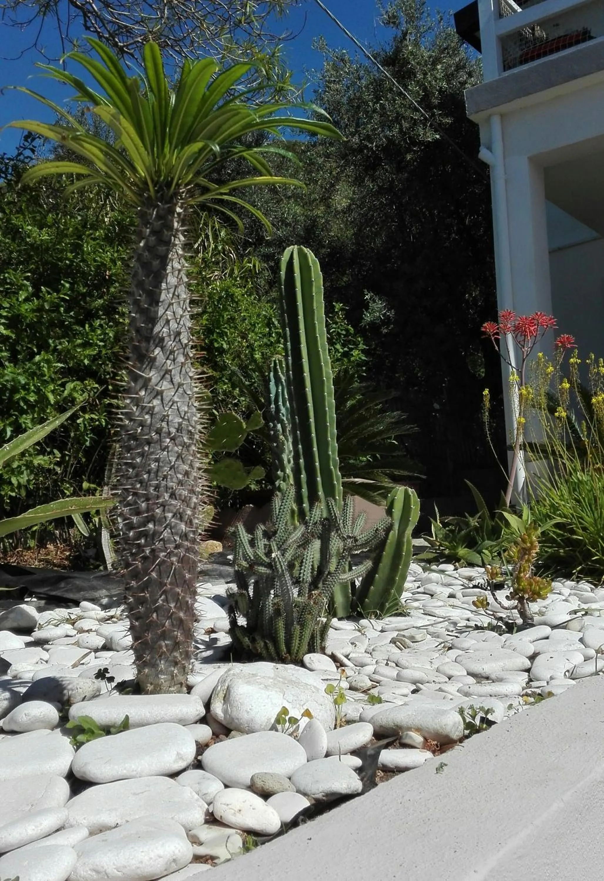Garden in La Casa A Mare B&B